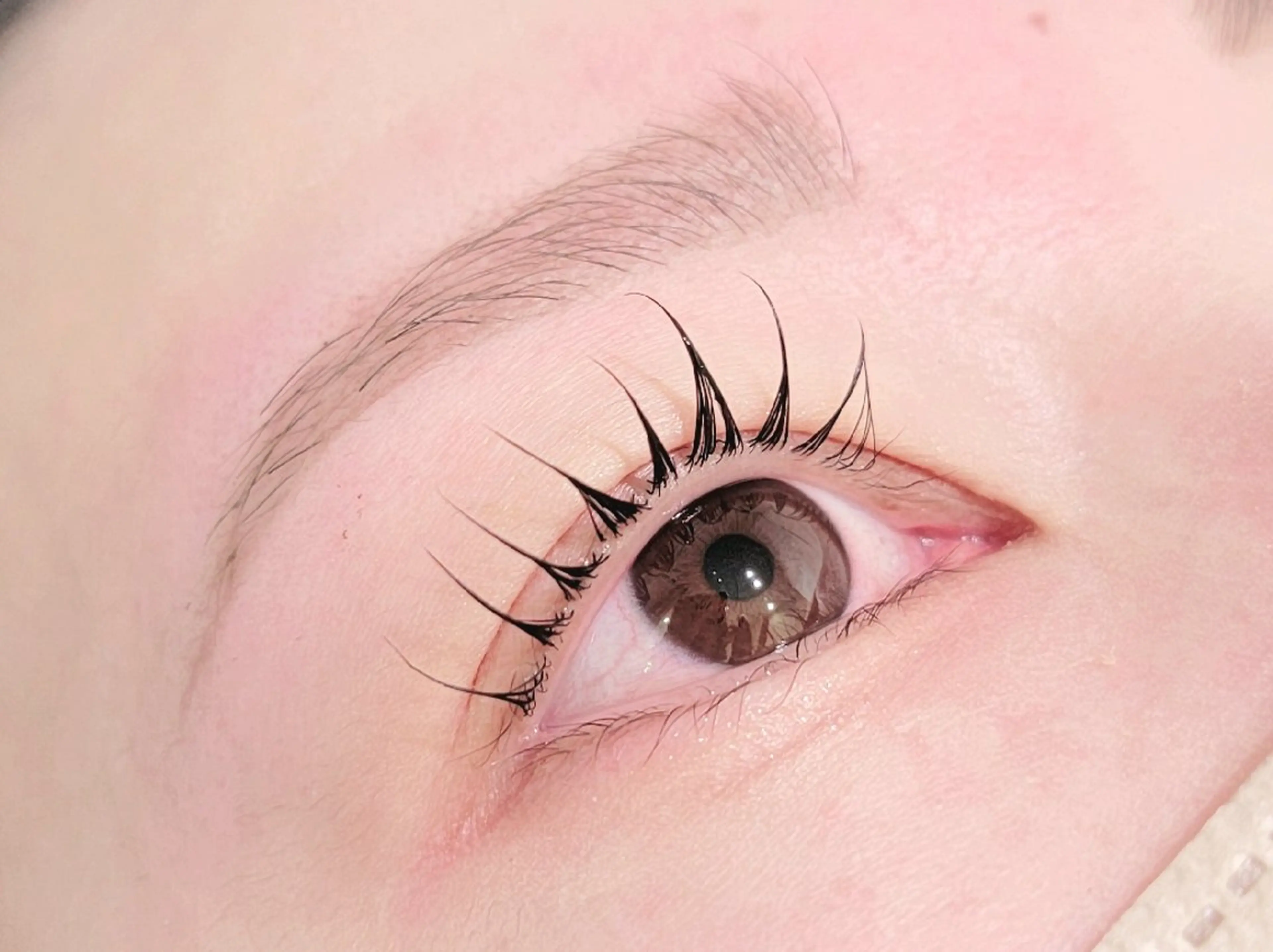 ☆入学限定☆眉WAX3300円の写真