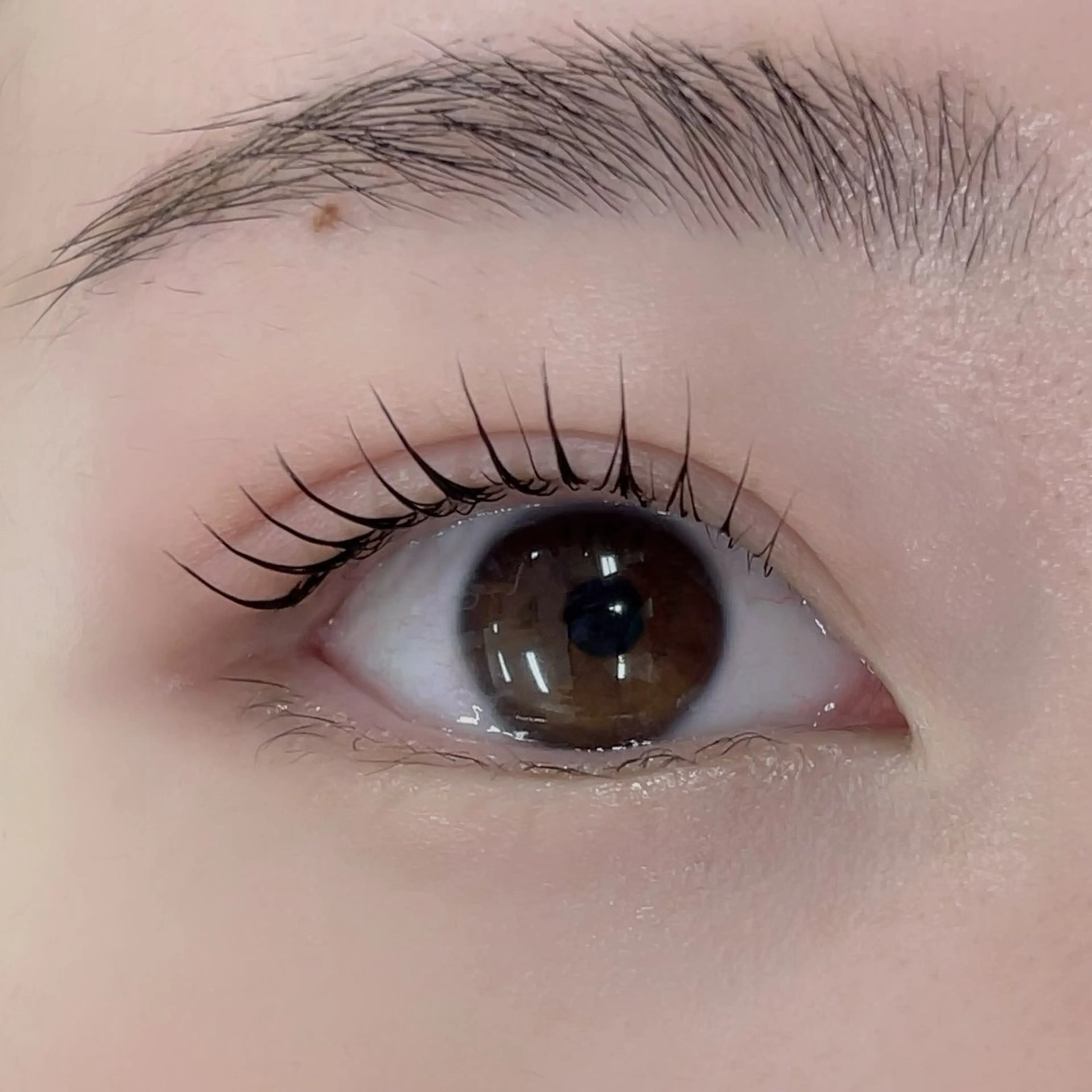 マツエク・マツパ R🌹 ⁺⊹˚.のマツエク・マツパデザイン