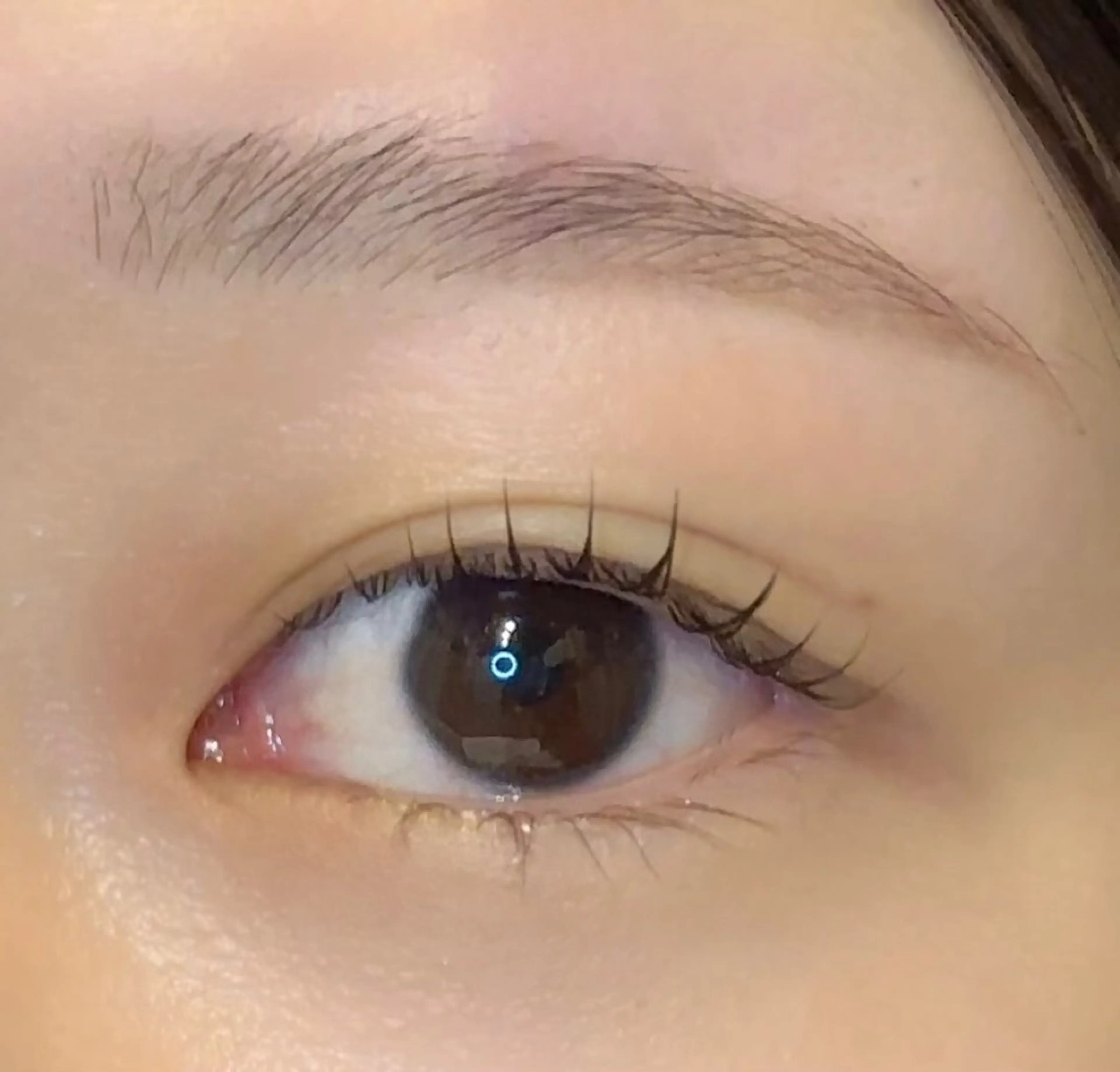 アイブロウ ワックス脱毛 眉カット その他(アイブロウ) 並木 綾花のマツエク・マツパデザイン