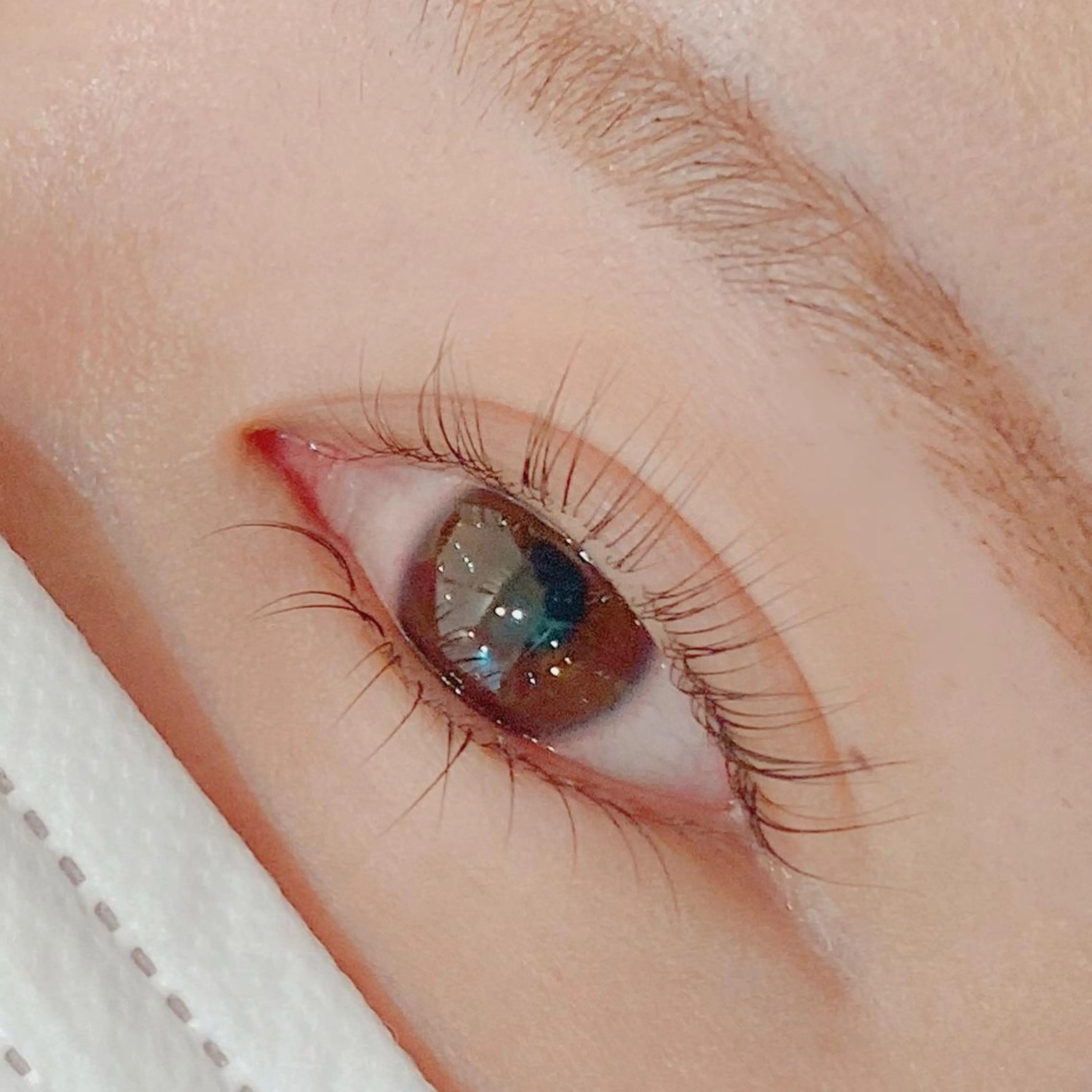 マツエク・マツパ パリジェンヌラッシュリフト 下まつげエクステ ARLY'S 🫟LED専門店のエステ・リラクイメージ