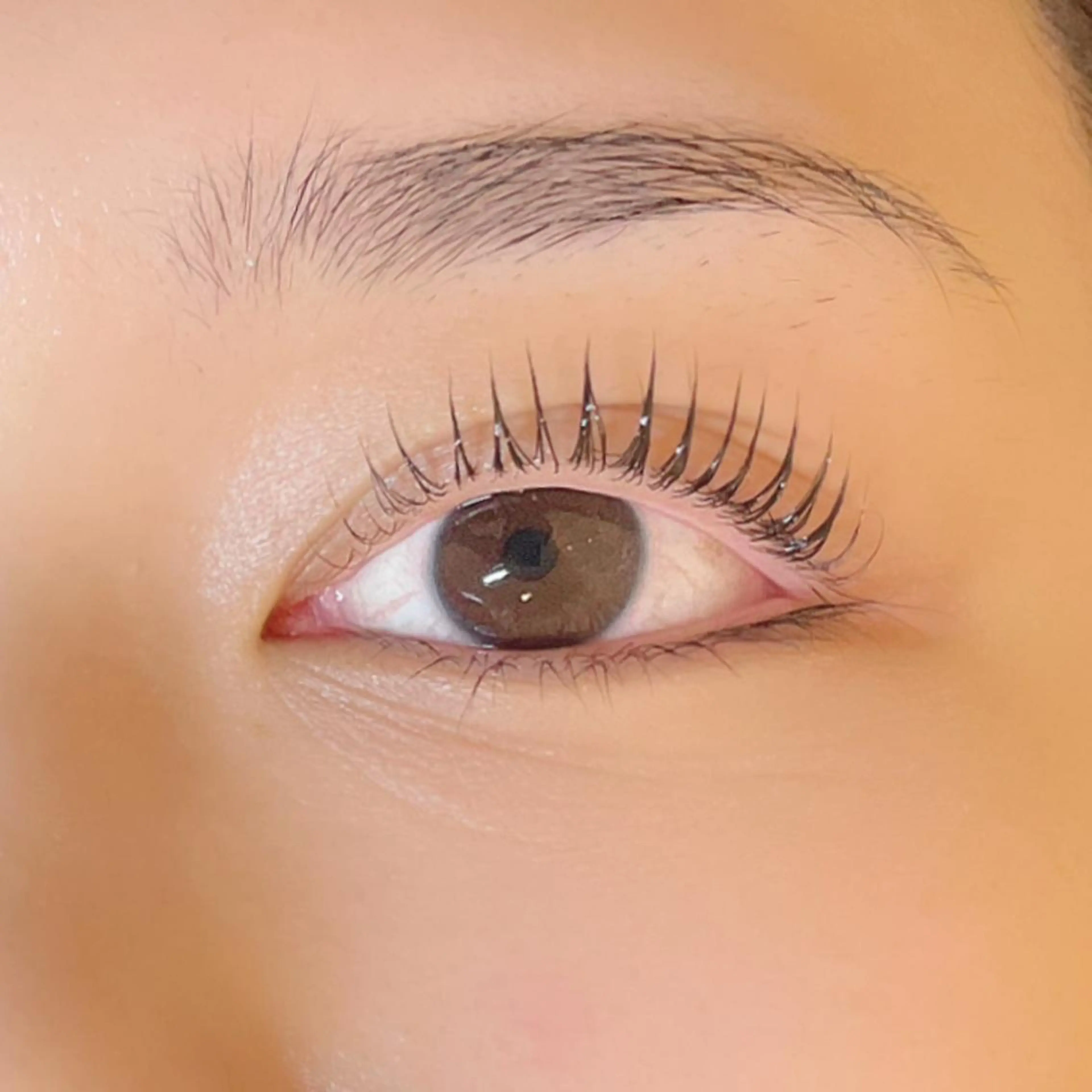 マツエク・マツパ サラバイ ニコットのマツエク・マツパデザイン