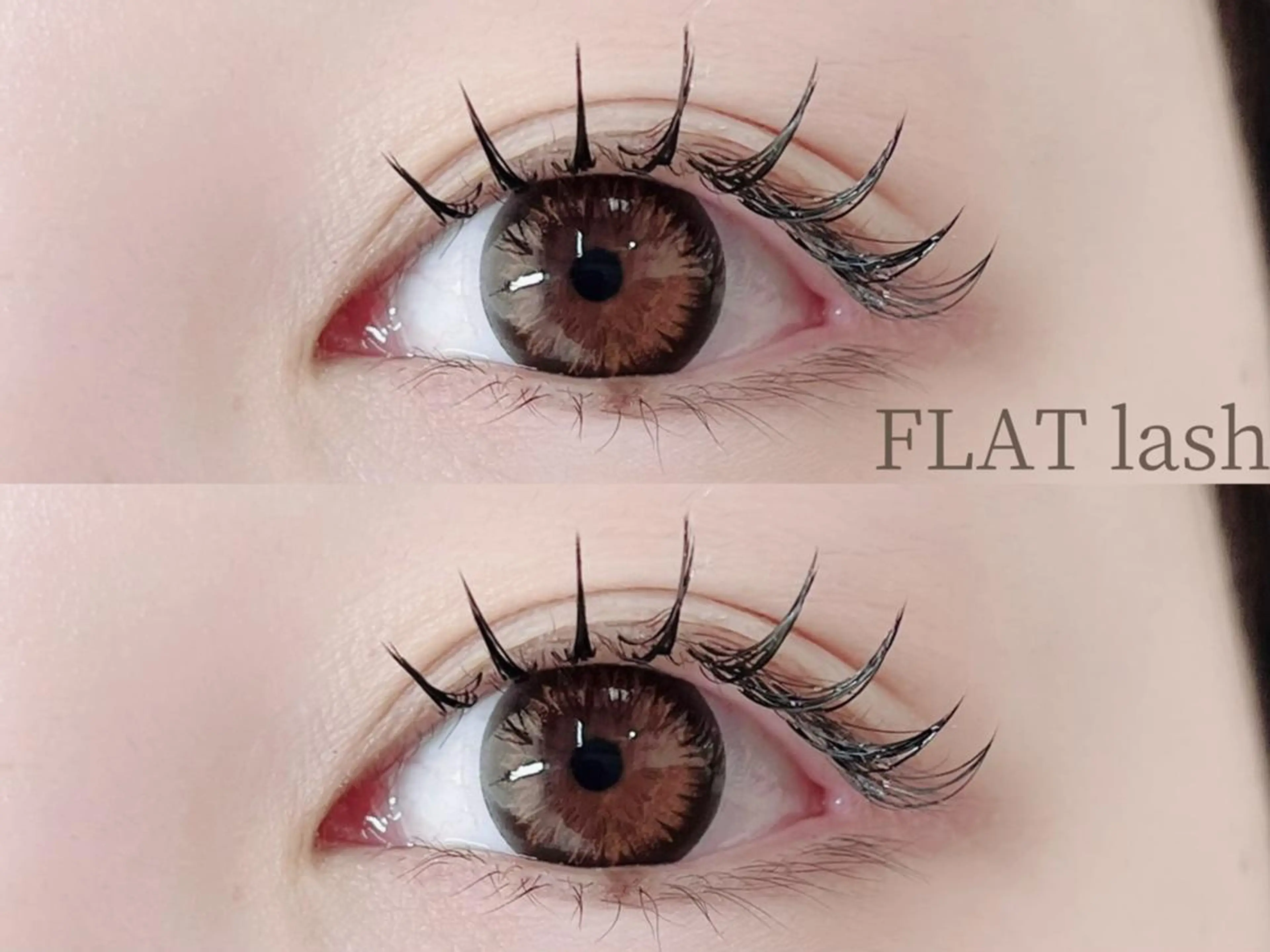 LED🌟【マツエク】韓国束感セーブル/フラットラッシュ90分つけ放題/100~120本保証✨の写真