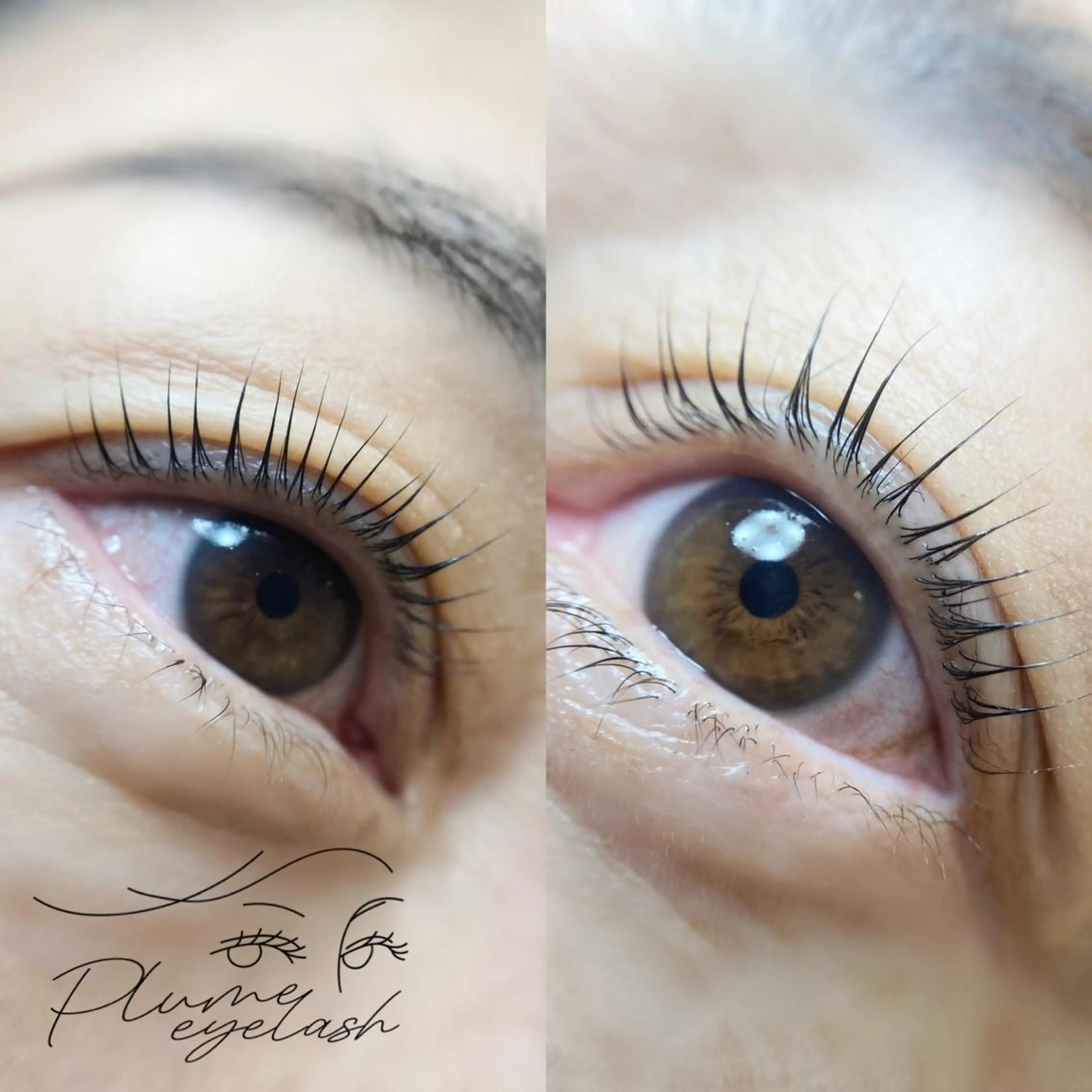 マツエク・マツパ Plume ﾌﾟﾘｭｰﾑのマツエク・マツパデザイン