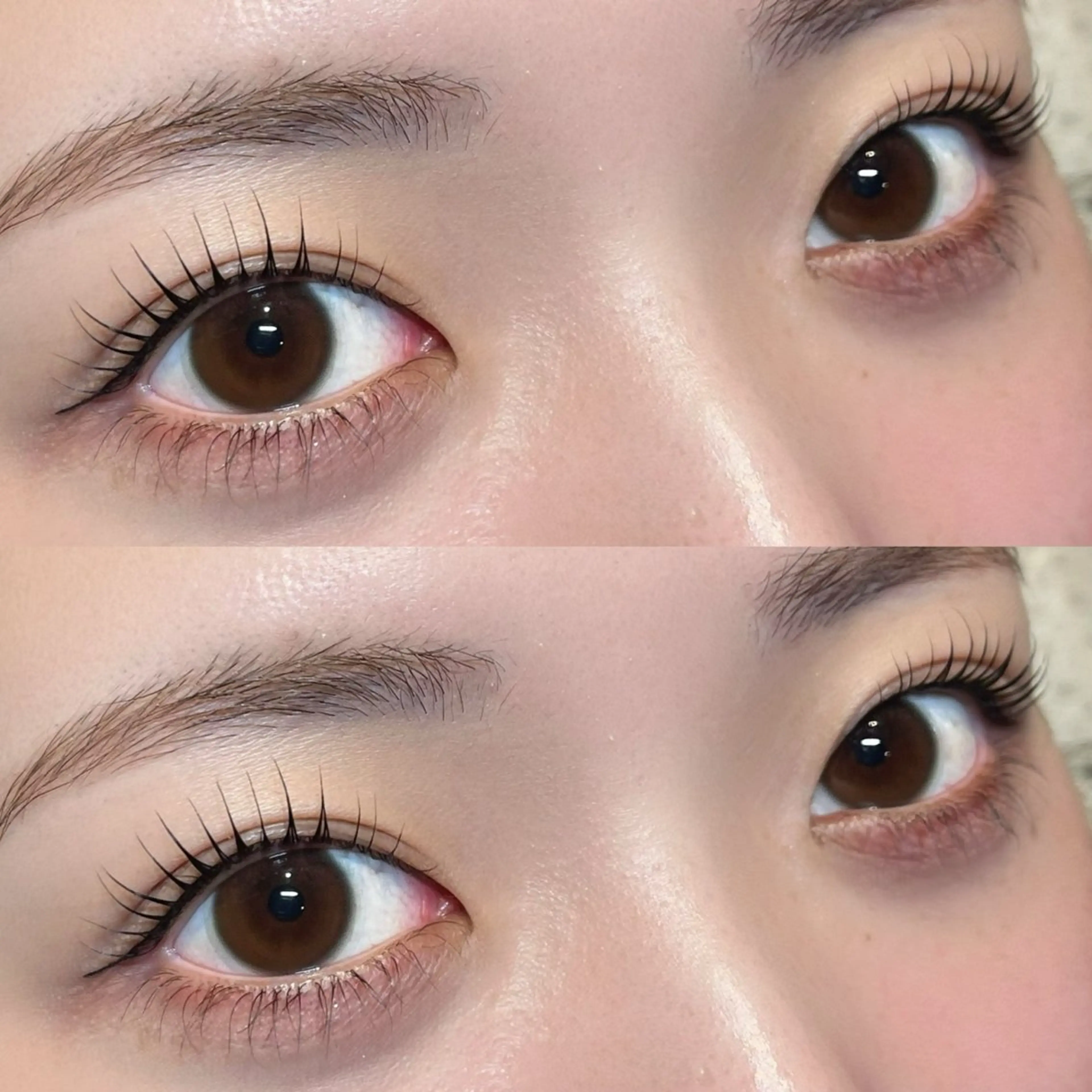 初回限定✨パリジェンヌラッシュリフト(コーティング付)の写真