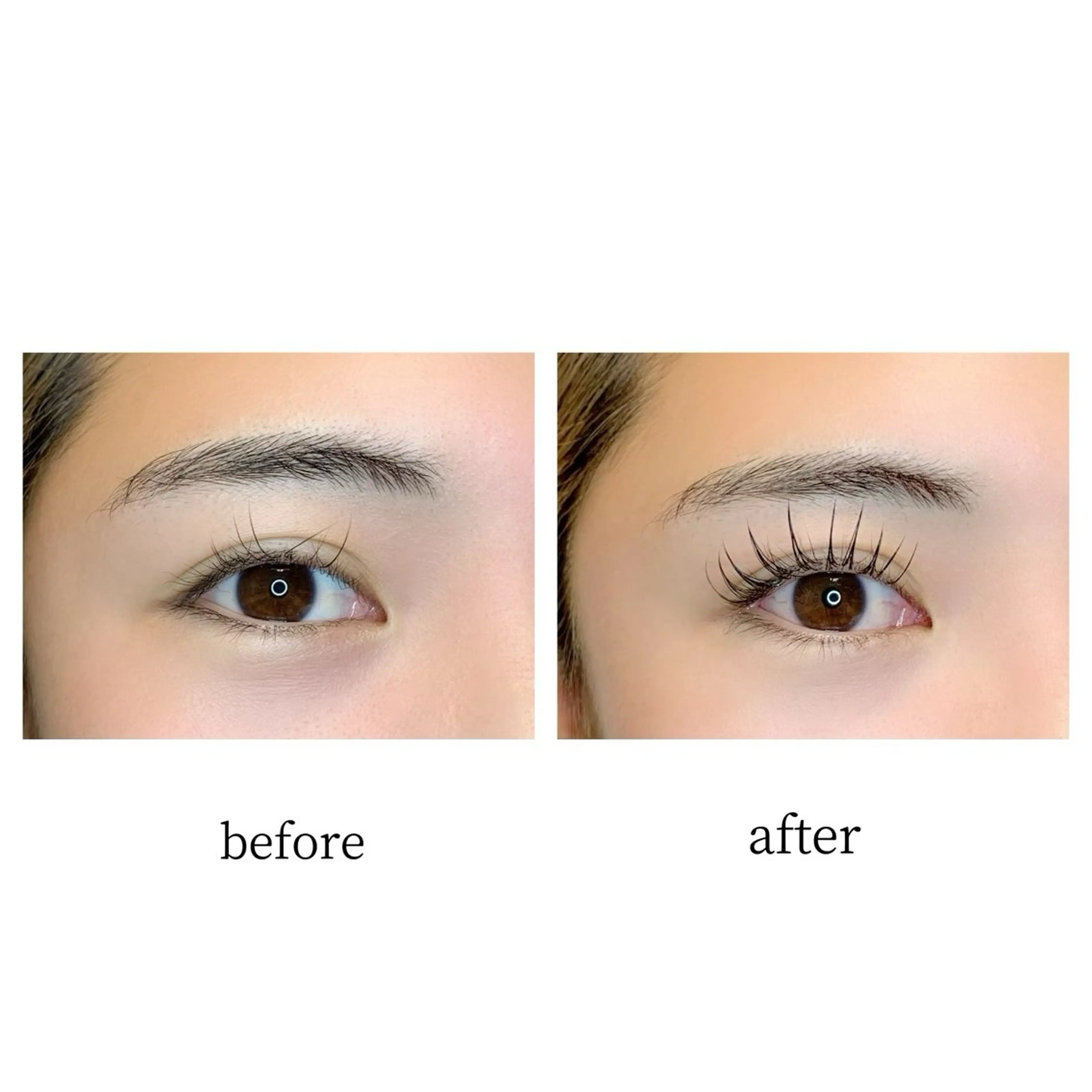 マツエク・マツパ アルターエクラ 伊豆山のマツエク・マツパデザイン