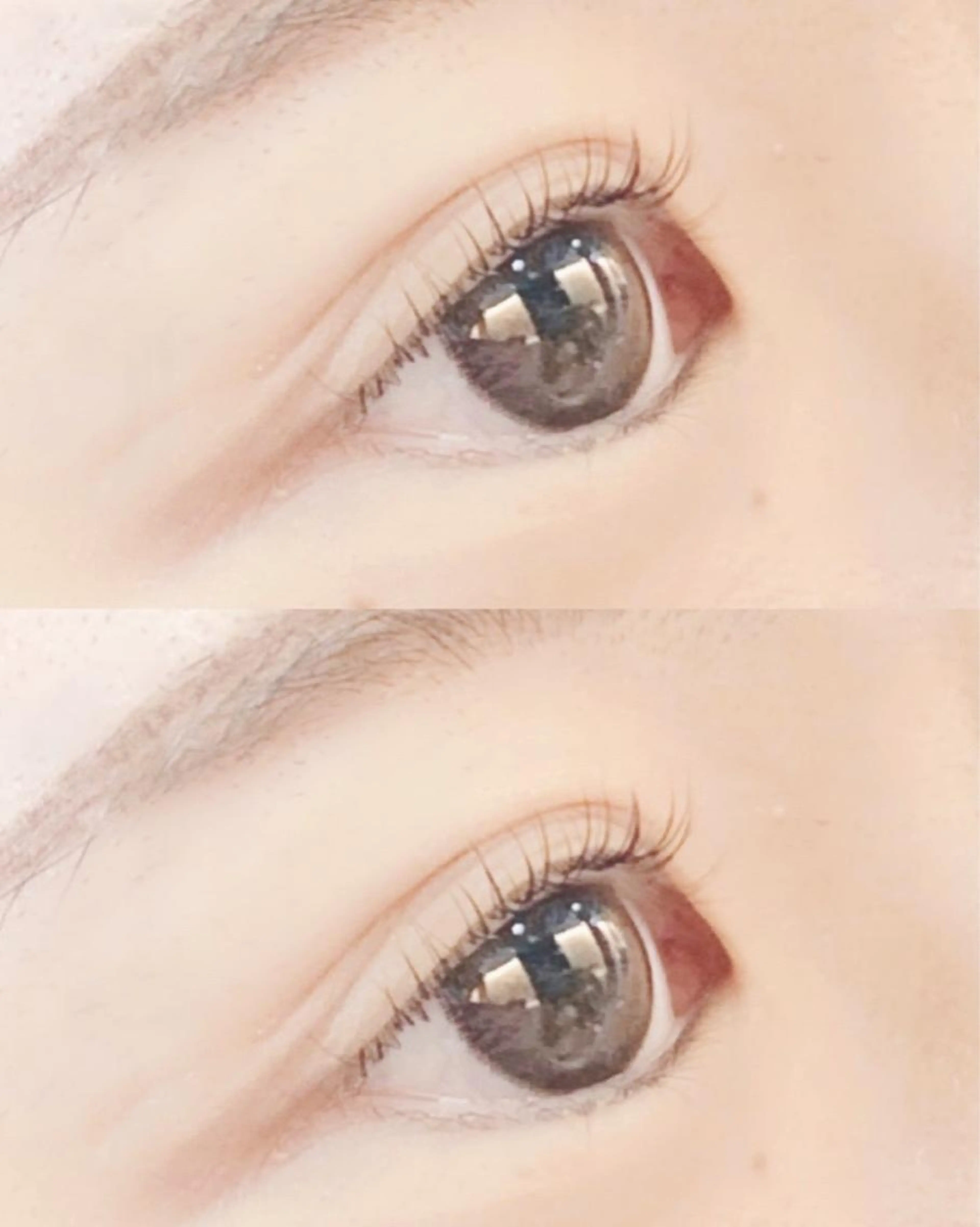 マツパ　リフトカールの写真