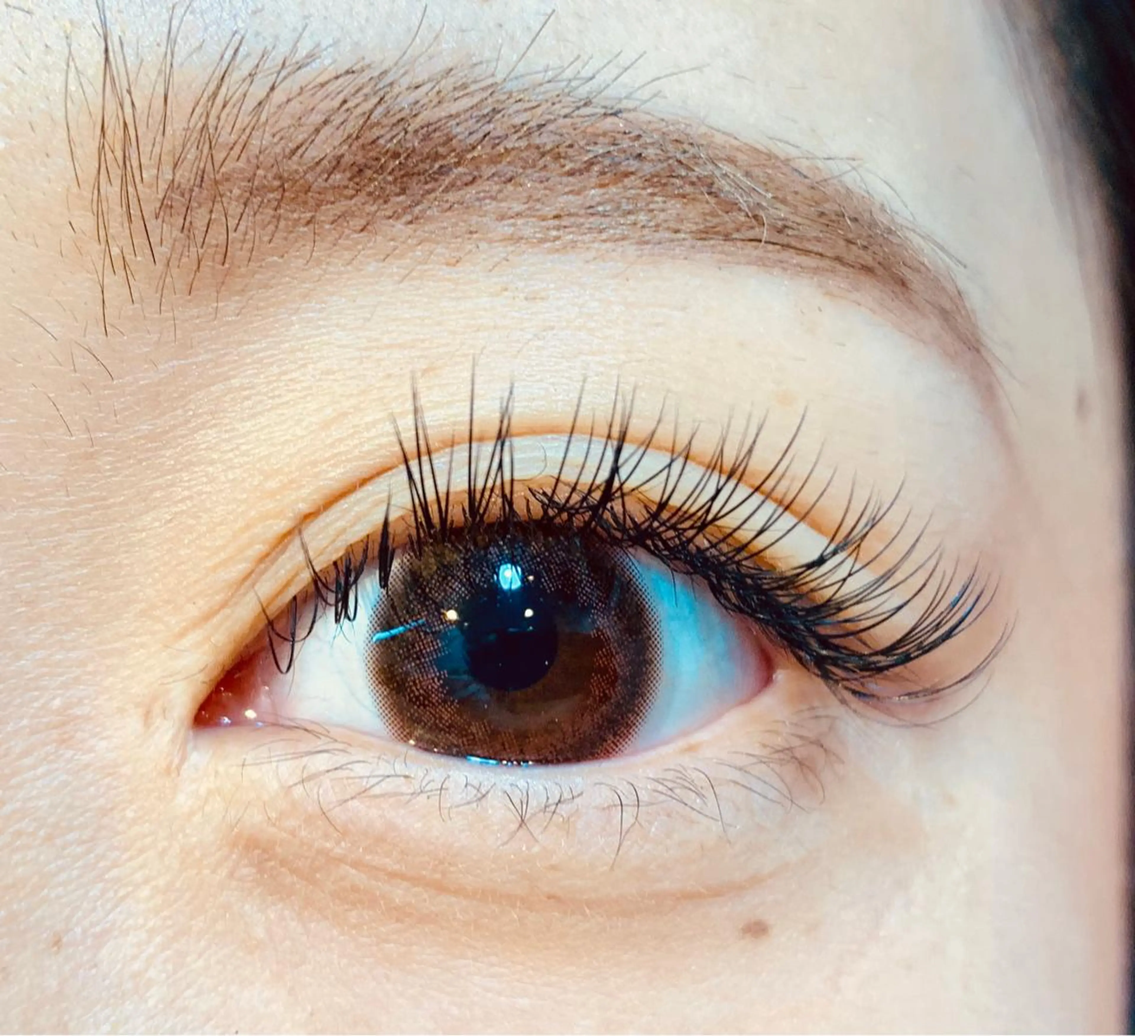 マツエク・マツパ フラットラッシュ ナチュラル マツエク mist AYA 🏝️eyelashのマツエク・マツパデザイン