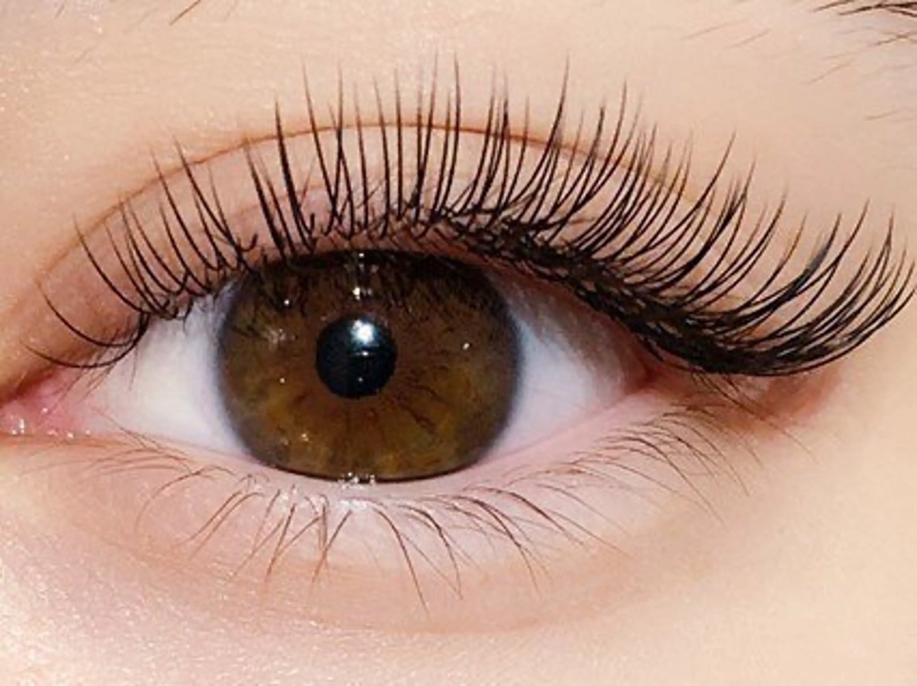 マツエク・マツパ peep名古屋八田店 TSURUのマツエク・マツパデザイン