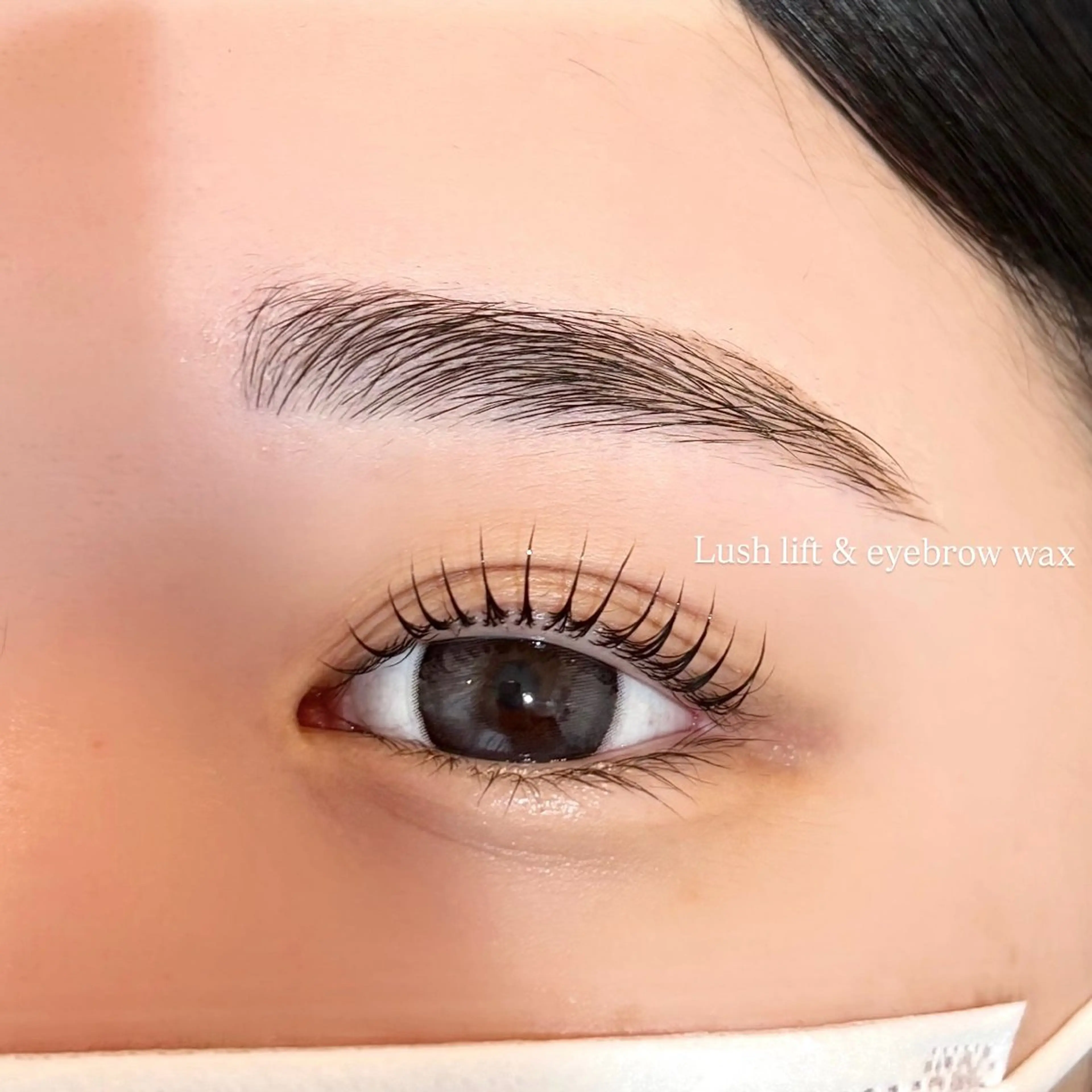 超お得セット✩.*˚《アイブロウWAX》🤎＋《ラッシュリフト》‎🤍コーティング仕上げ付き🫧の写真