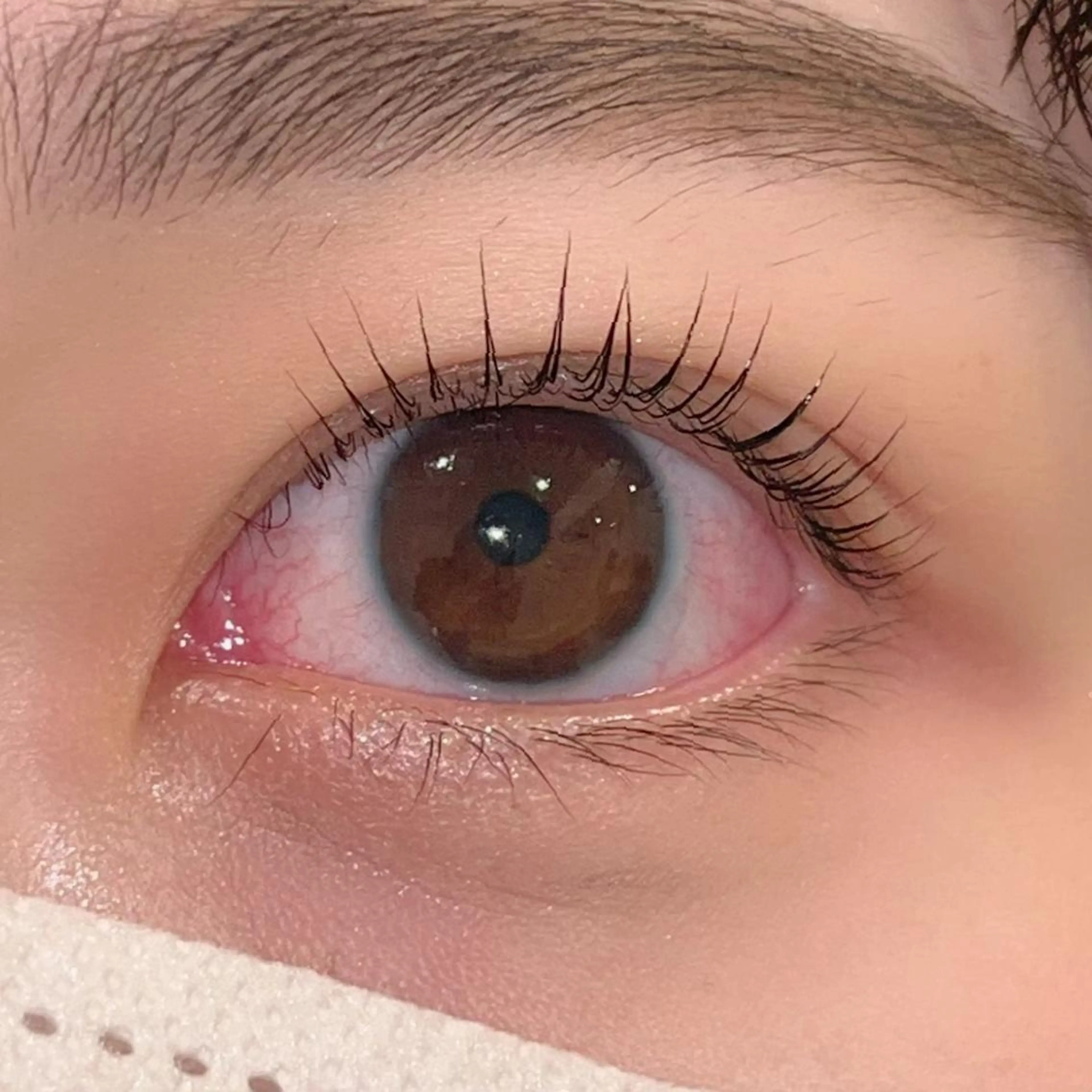 マツエク・マツパ パリジェンヌラッシュリフト まつげパーマ ai一重専門🎀束感 まつげ🫧表参道のマツエク・マツパデザイン