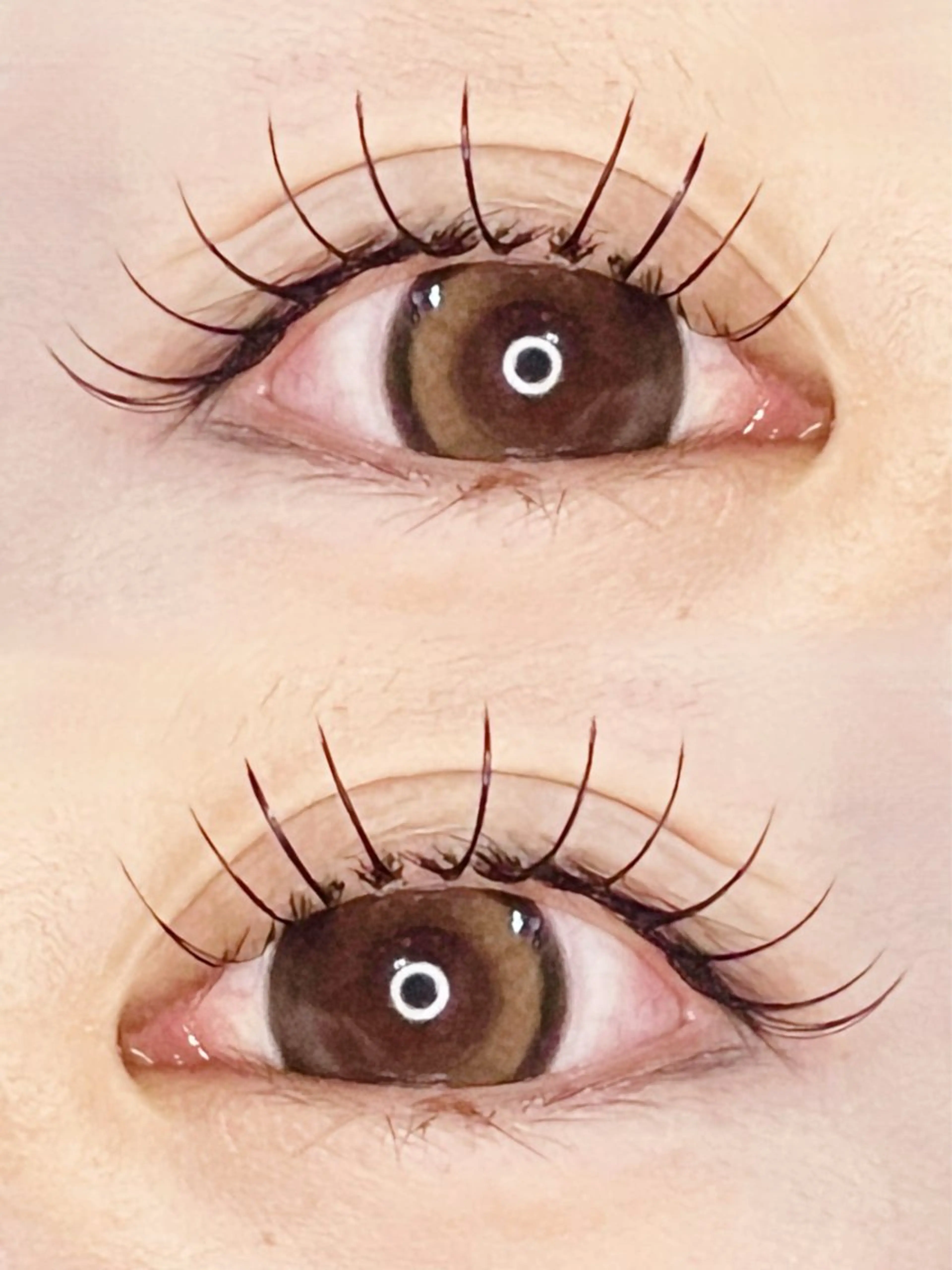 【モチ重視◎】ナチュラルに盛れるLEDフラットラッシュ100本＋コーティング仕上げ💜メイク時短◎（期間限定価格🕊️）の写真