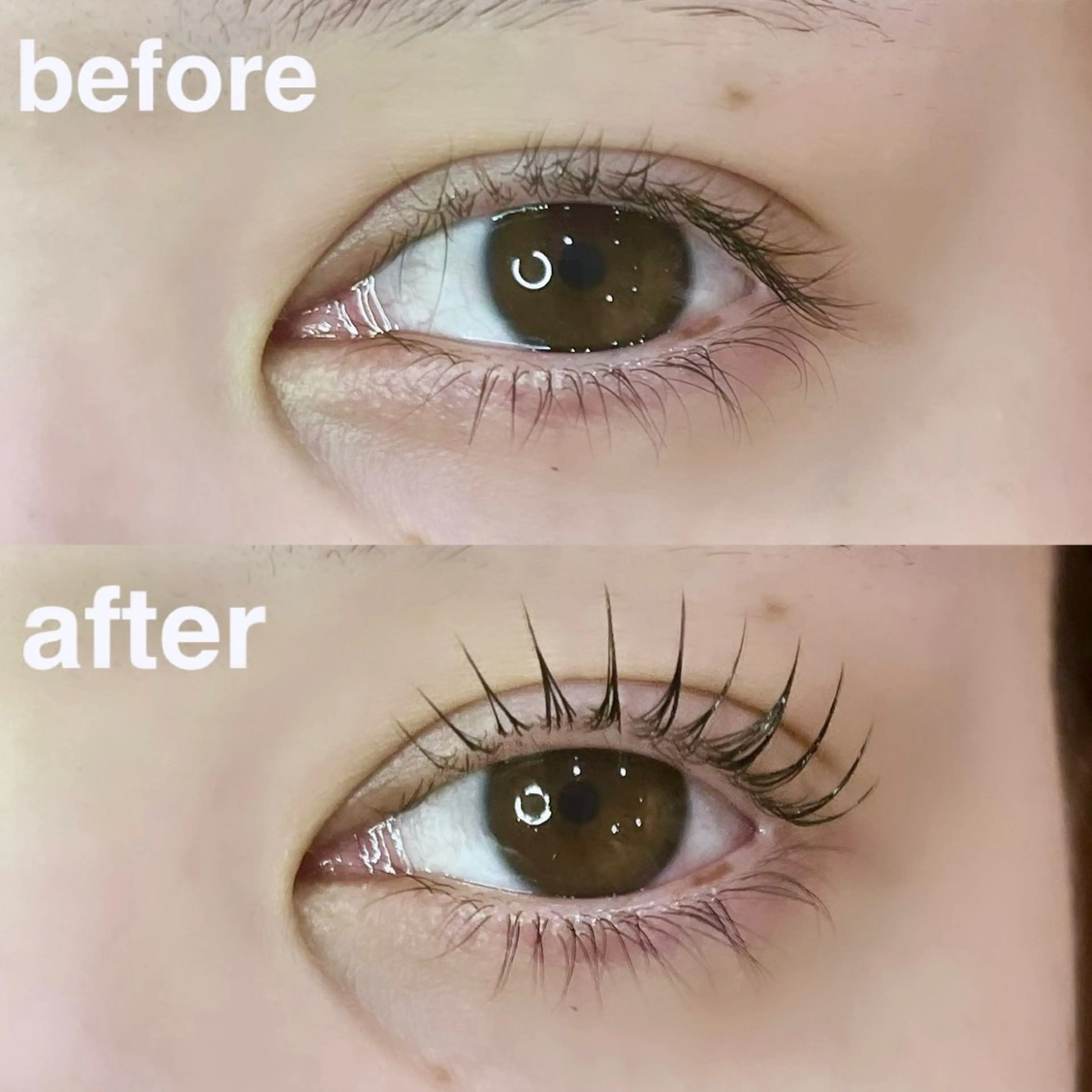 パリジェンヌラッシュリフトの写真