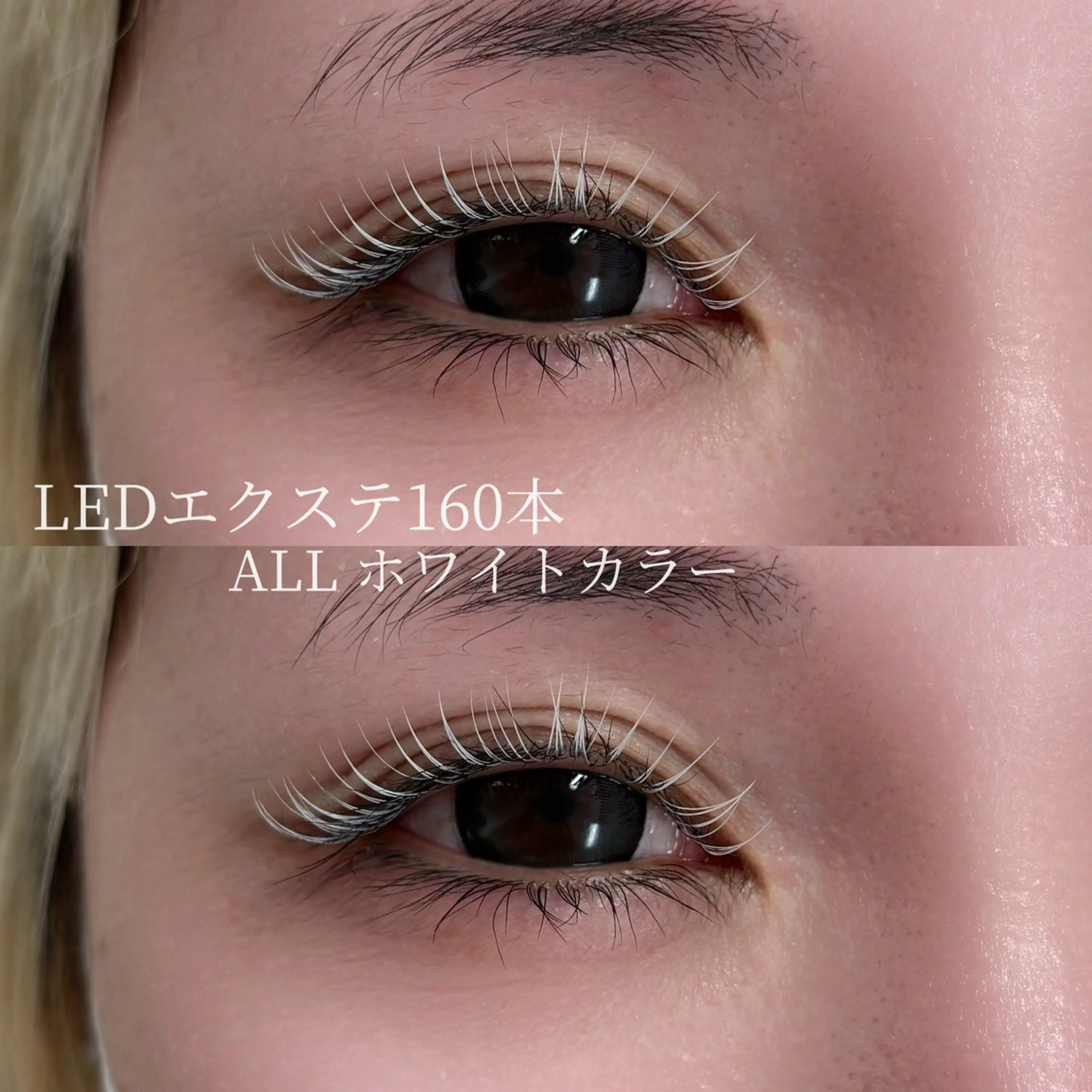 マツエク・マツパ フラットラッシュ signpost 鈴木のマツエク・マツパデザイン