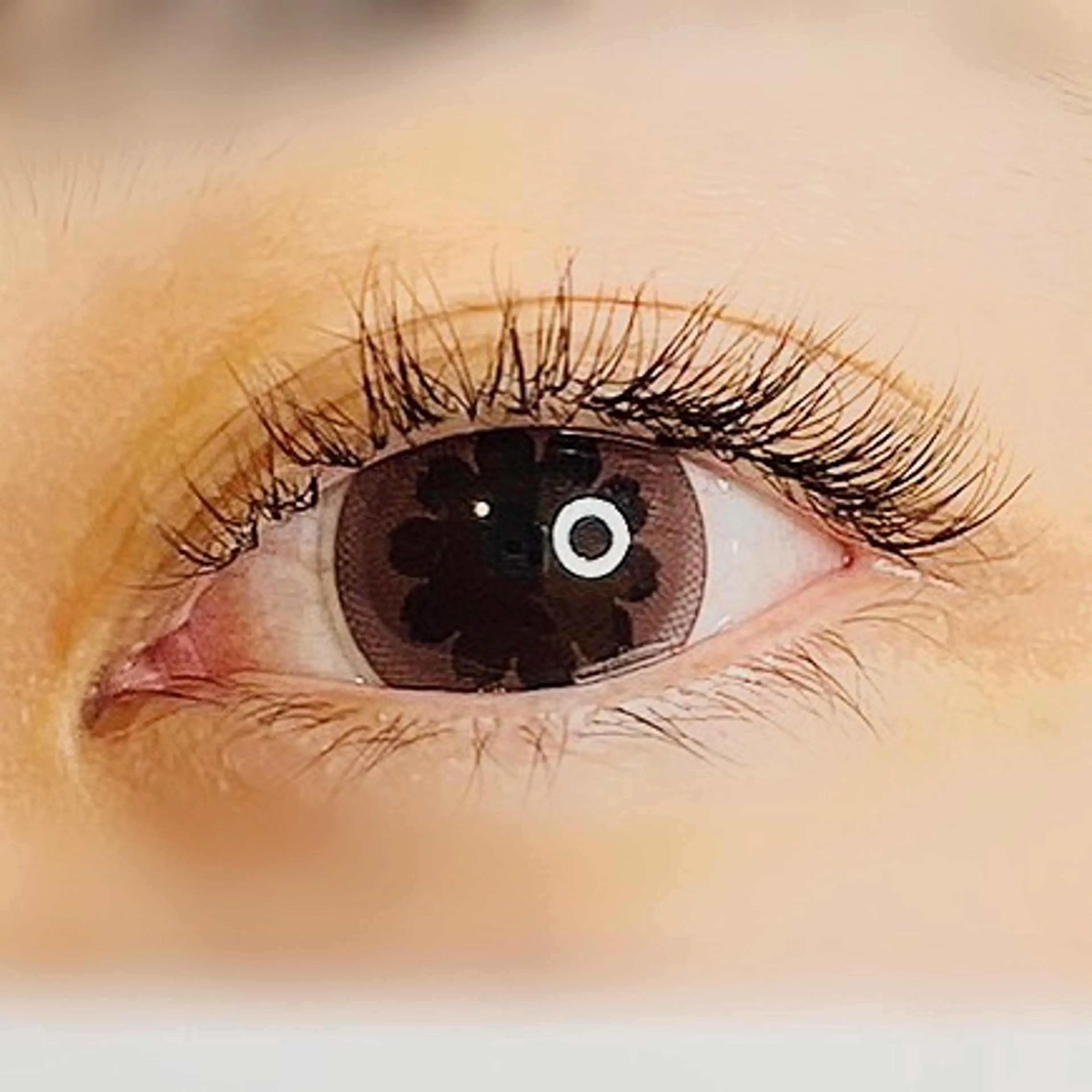 パリエク パリジェンヌ✖️マツエク (60本)の写真