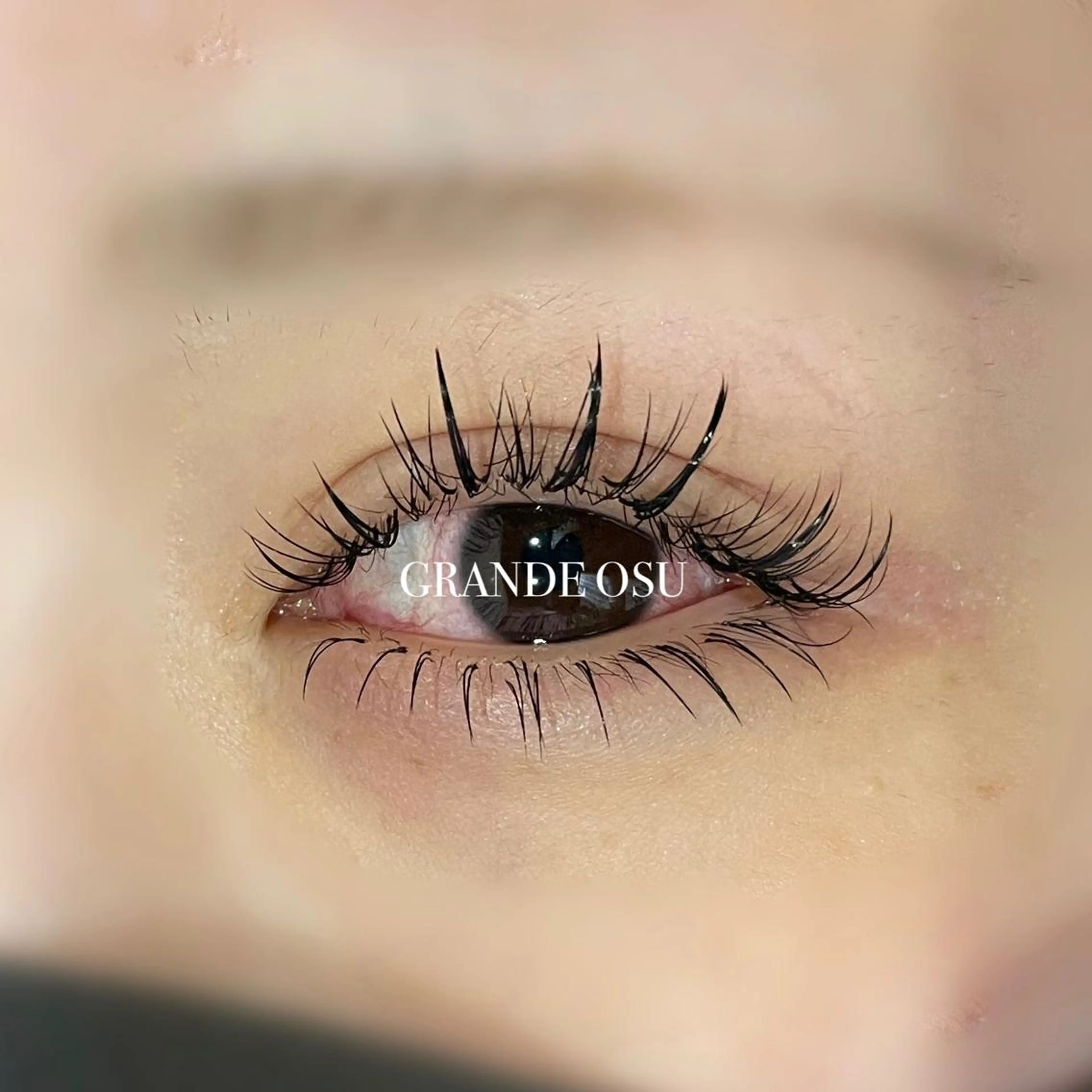 マツエク・マツパ ワンホンマツエク GRANDE OSU 藤原/eye店長のマツエク・マツパデザイン