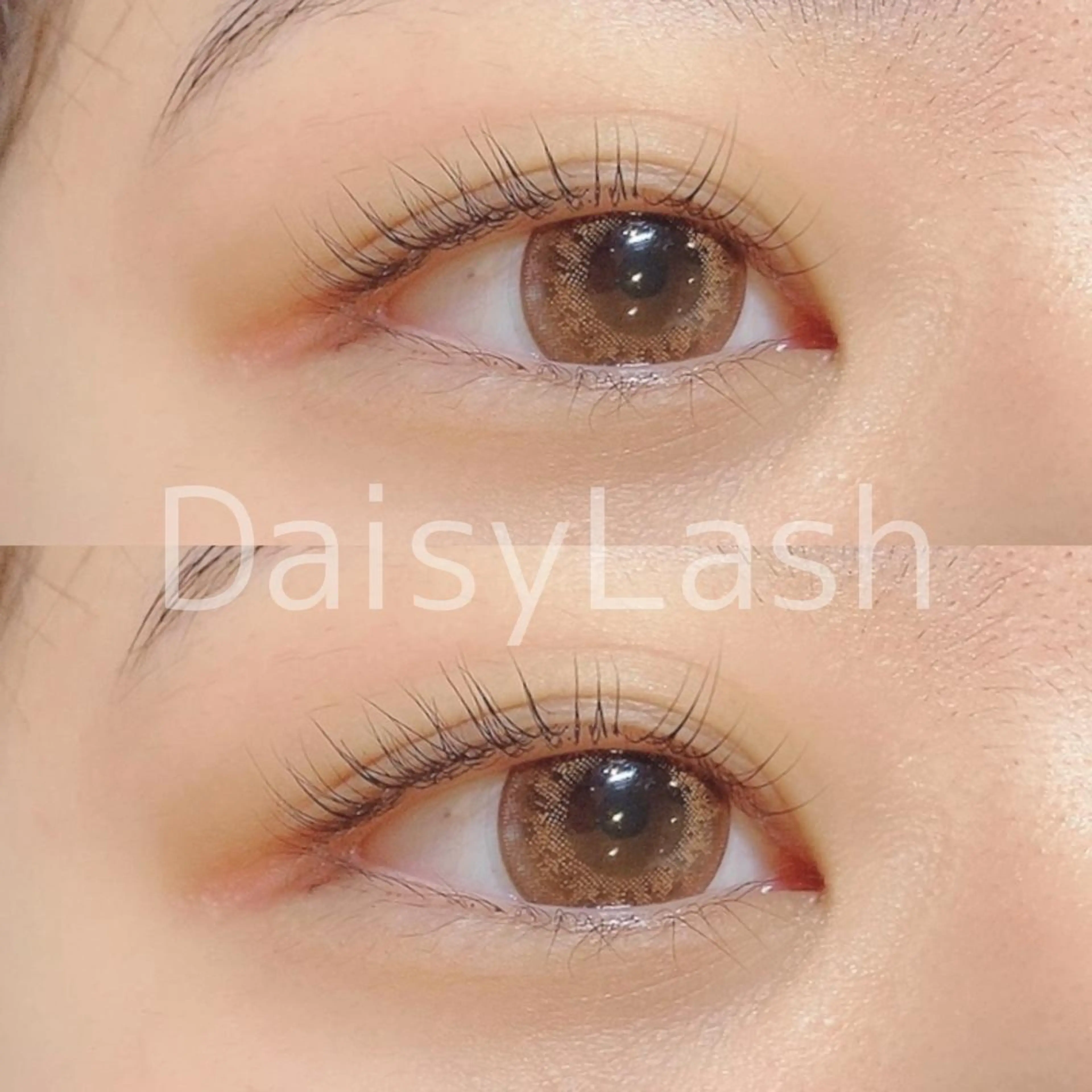 マツエク・マツパ DaisyLash 京橋店のマツエク・マツパデザイン