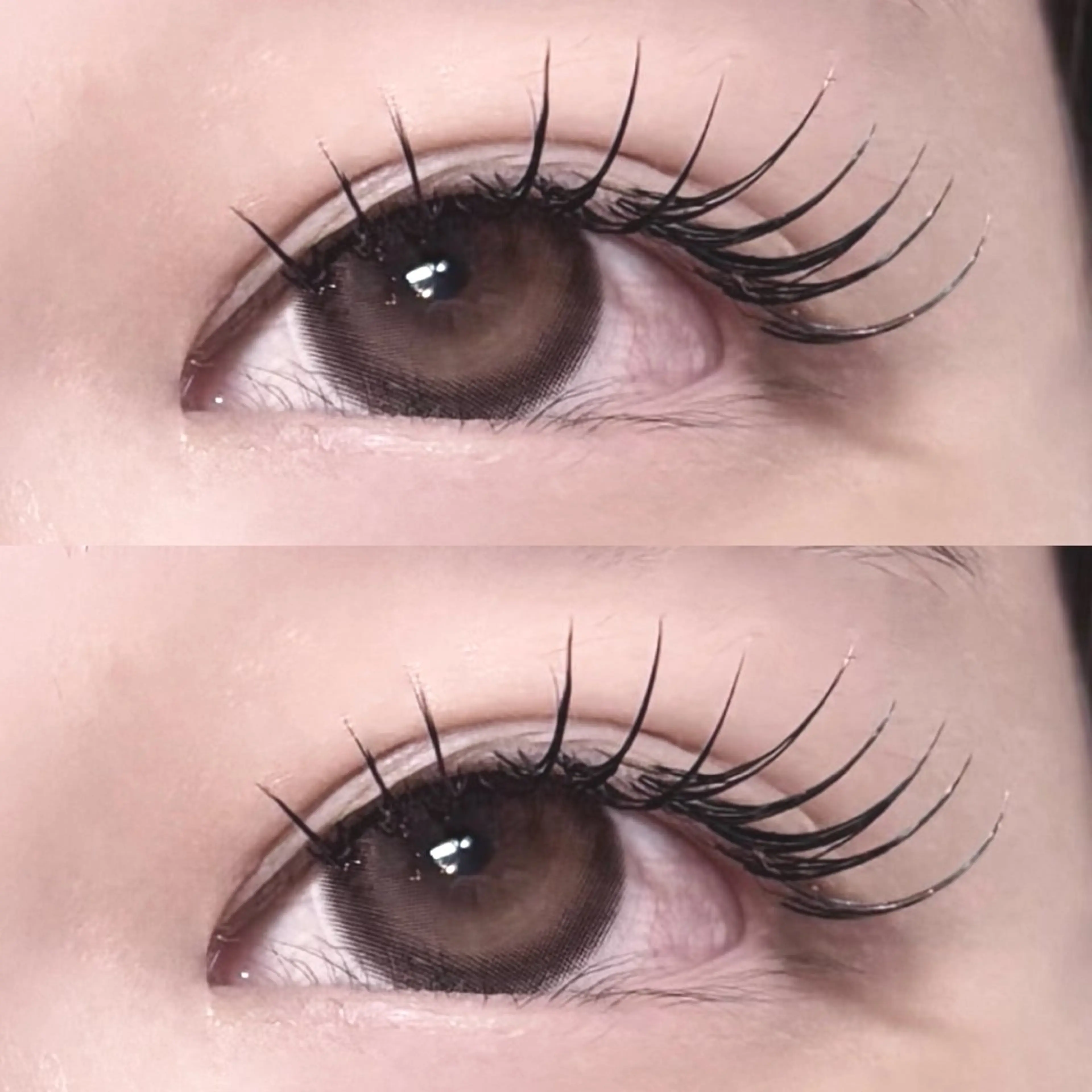 マツエク・マツパ マツエク anna /国分寺のマツエク・マツパデザイン