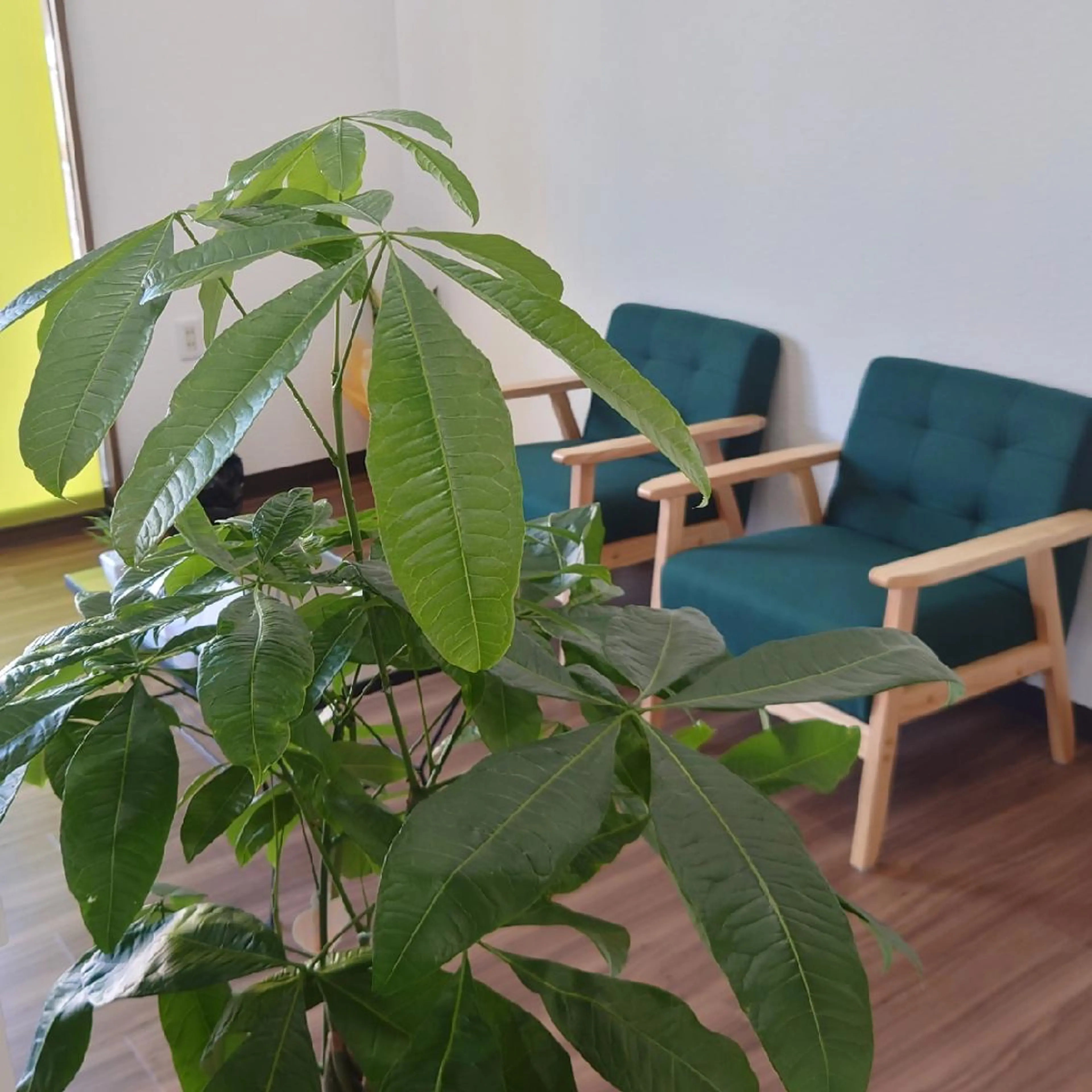 レナトス整体院所属・レナトス整体院 倉林のエステ・リラクイメージ