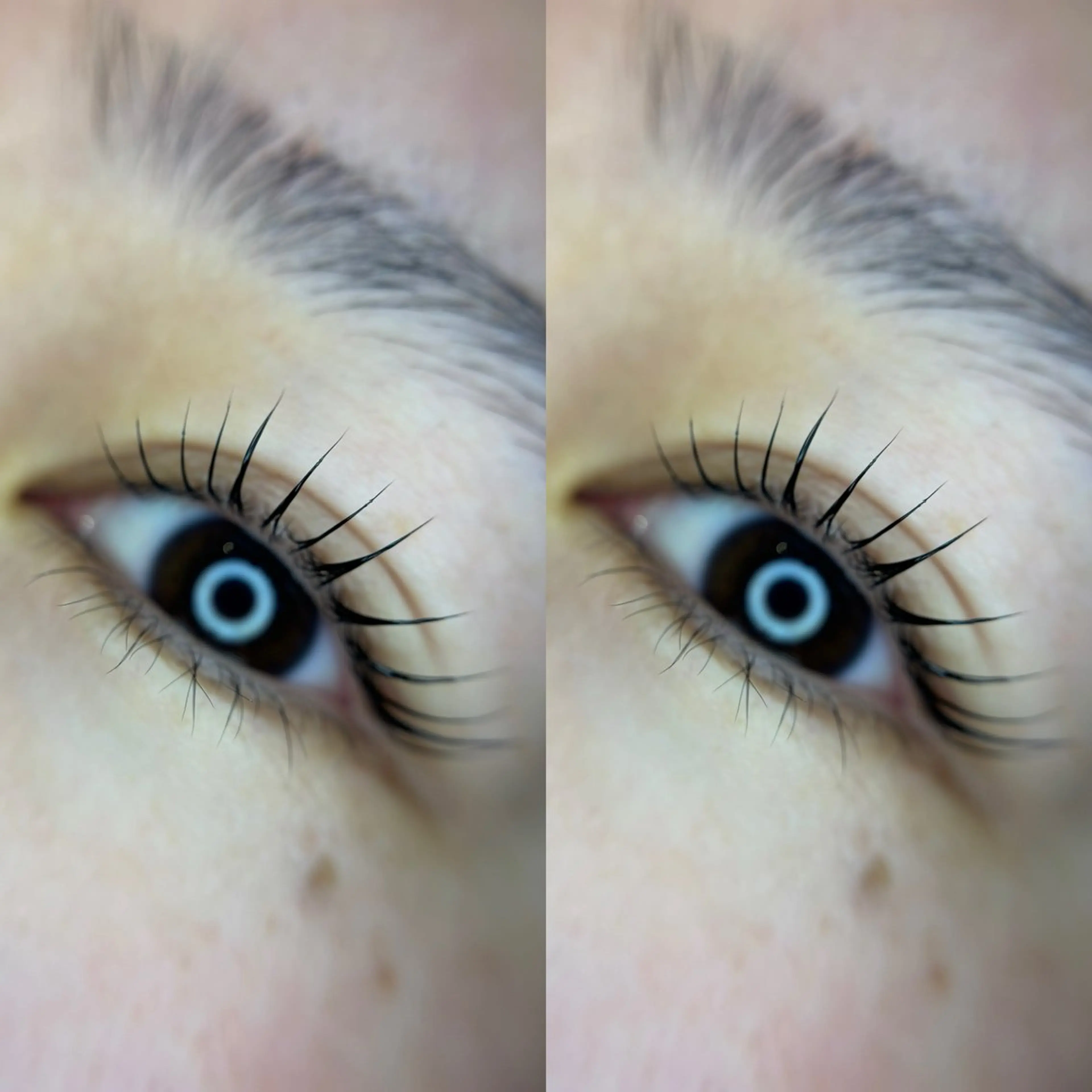 パリジェンヌ/オーダーメイドラッシュリフトの写真