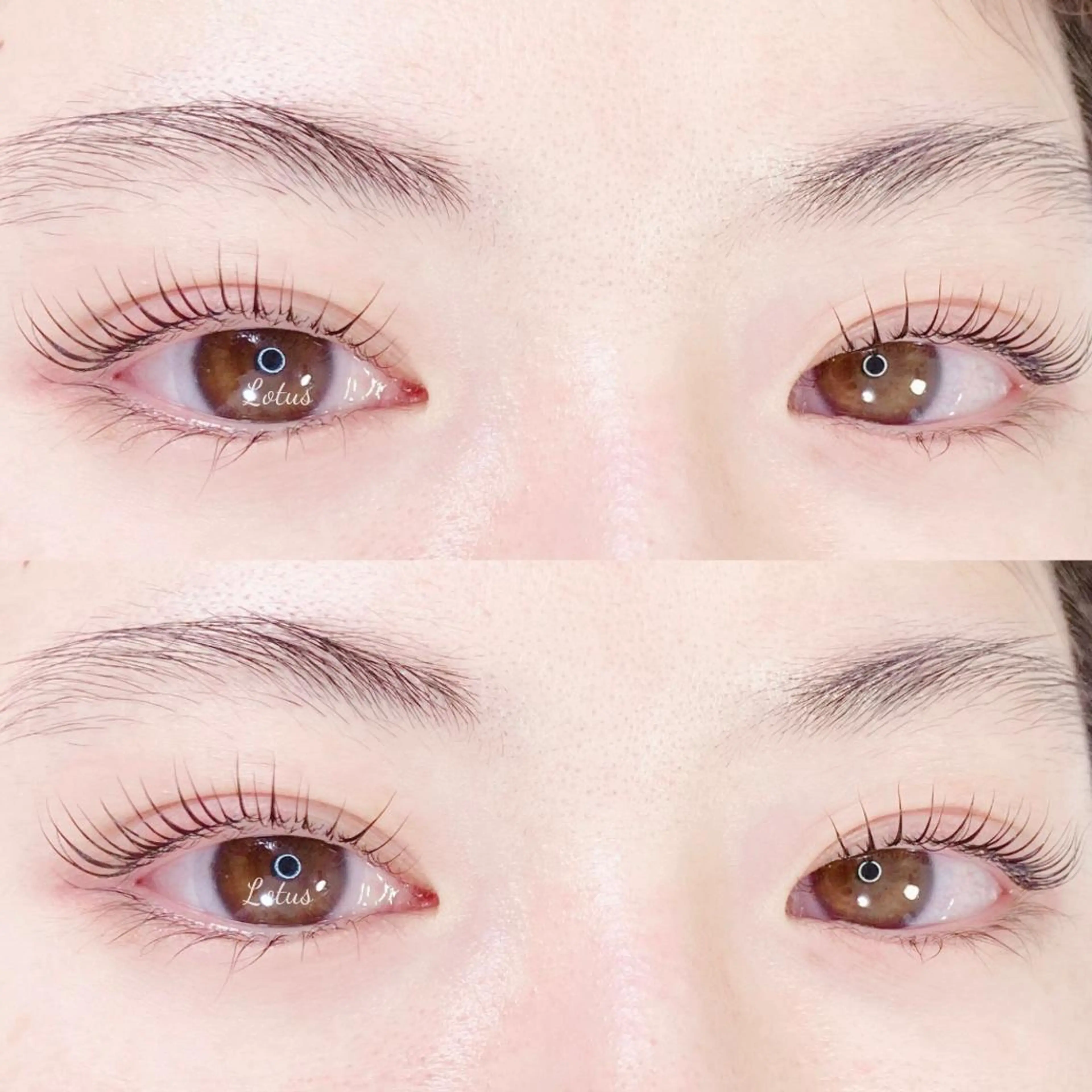 マツエク・マツパ マツパ Lotus所属・Lotus ロータスのマツエク・マツパデザイン