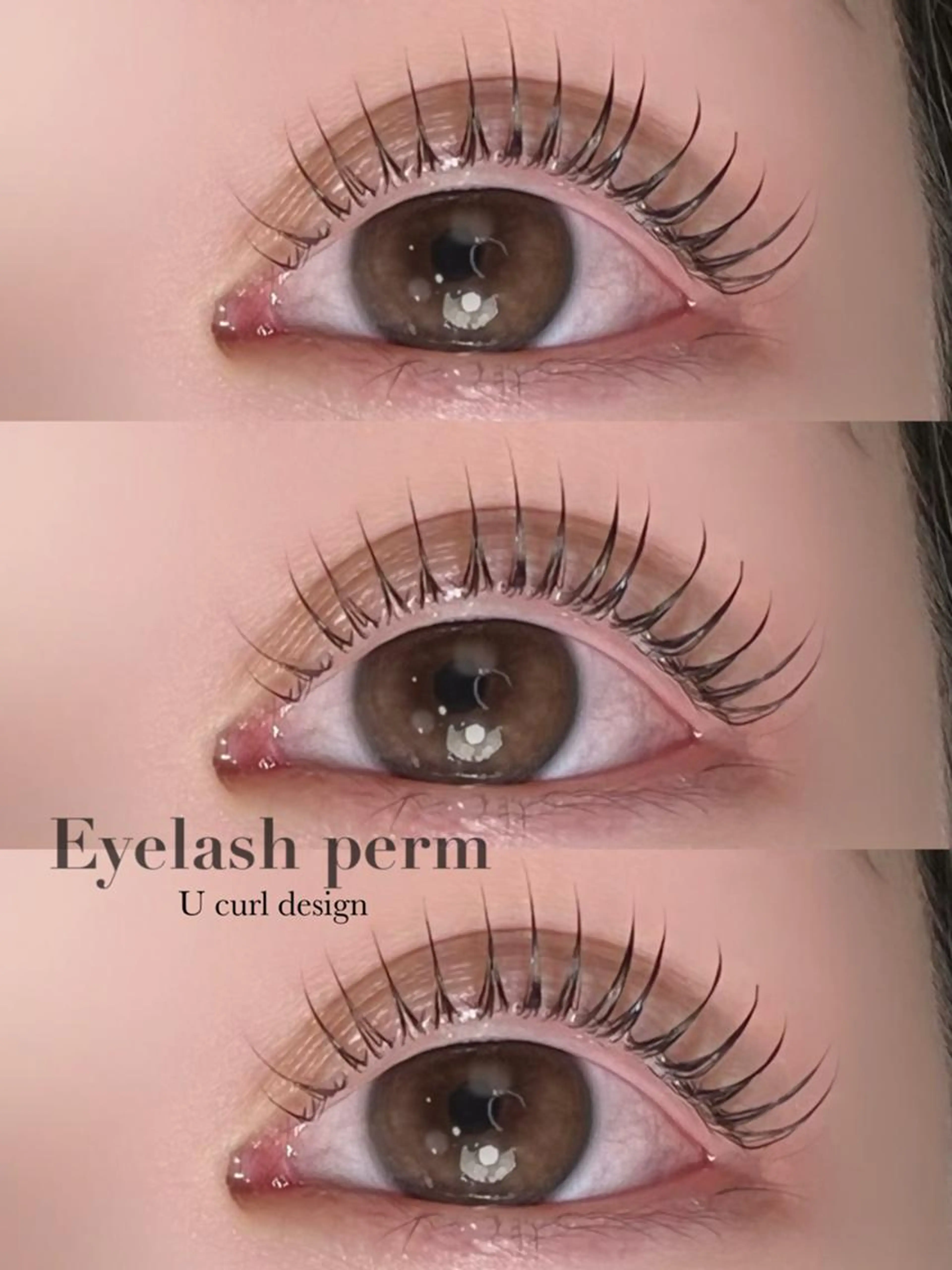 上下まつ毛パーマ🐰☁️の写真