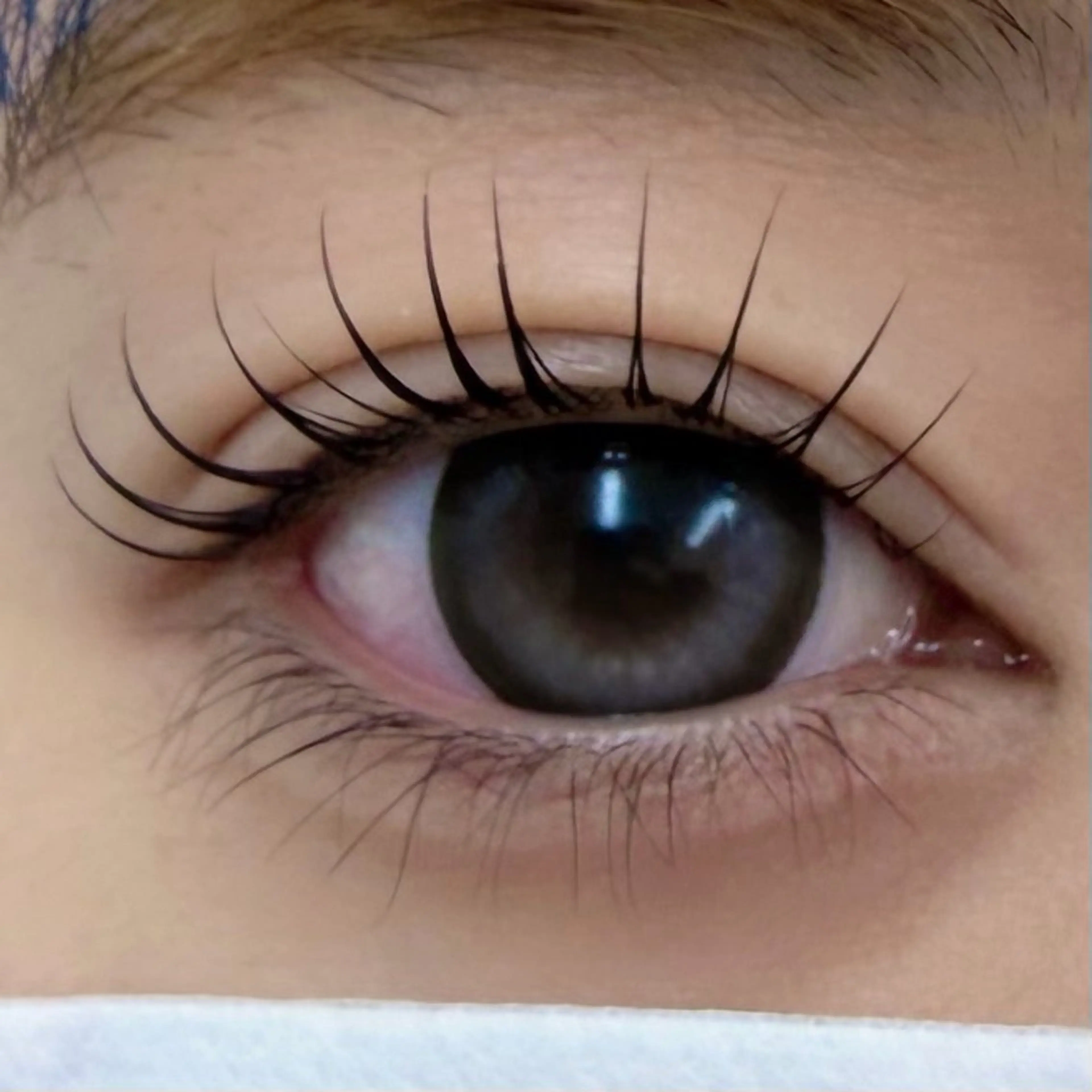 マツエク・マツパ マツパ 表参道駅徒歩2分🫧 まつげパーマ/Emiのマツエク・マツパデザイン