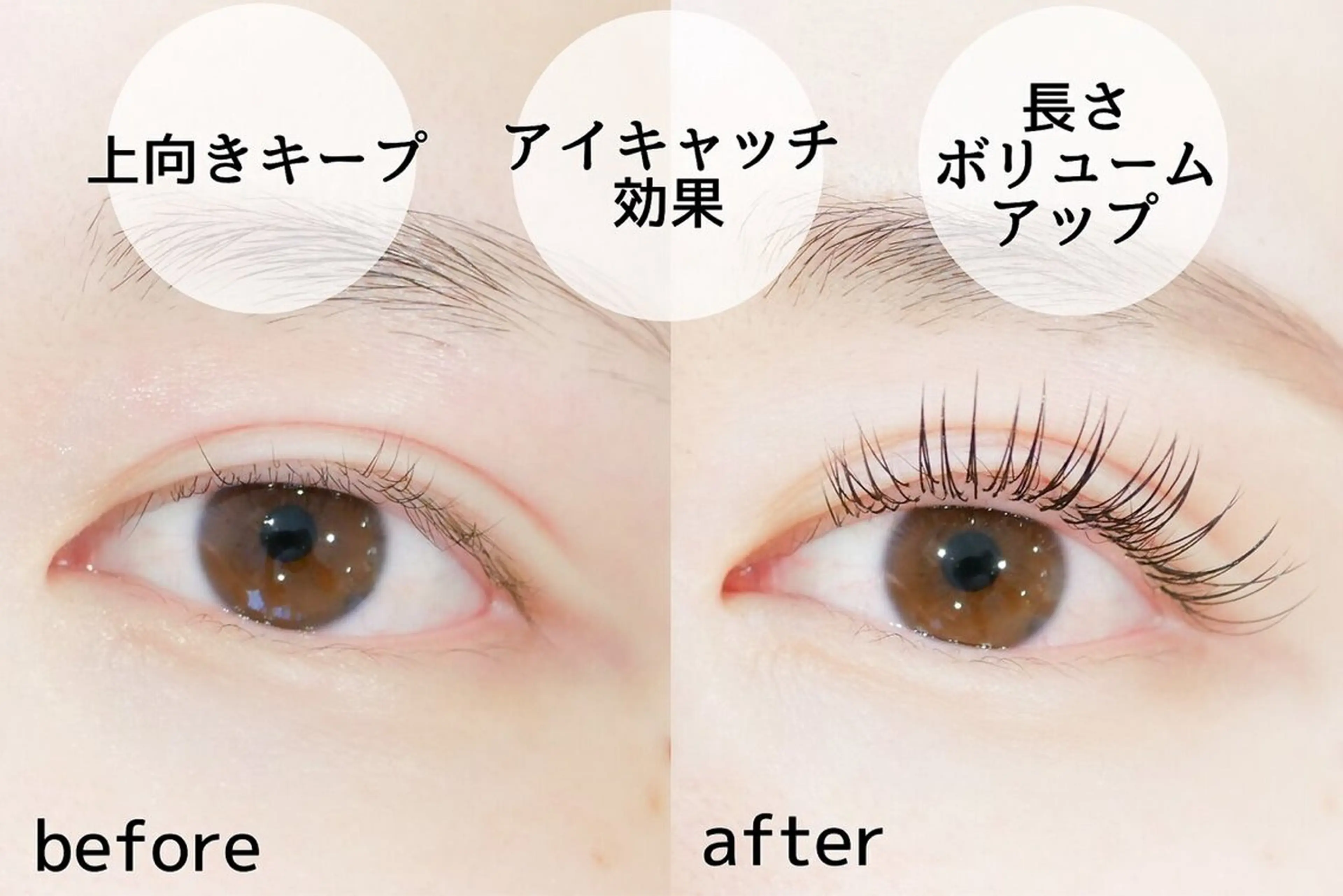 マツエク・マツパ THE SALON -stella-のマツエク・マツパデザイン