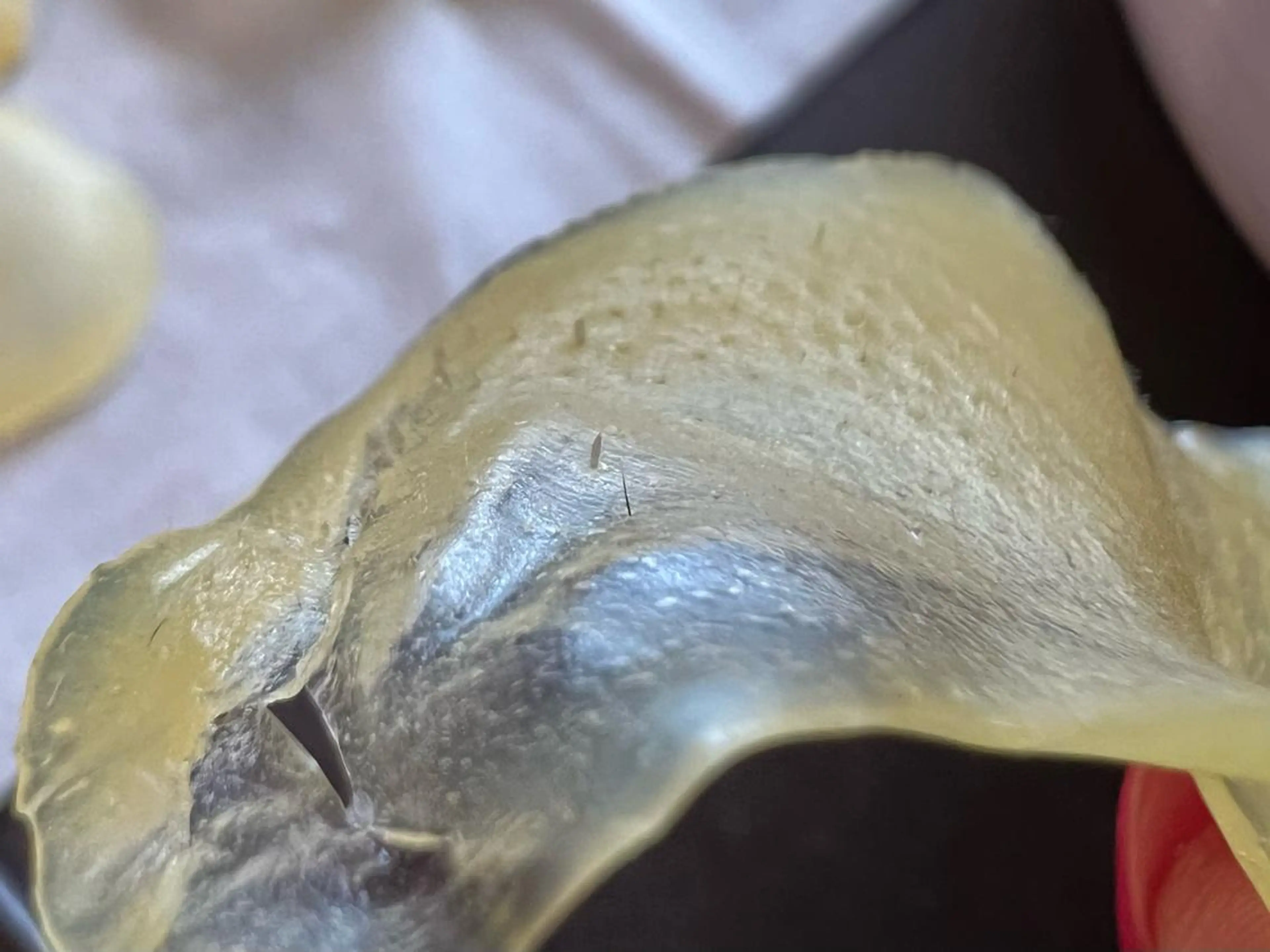 エステ 艶肌wax®︎ shocoのエステ・リラクイメージ