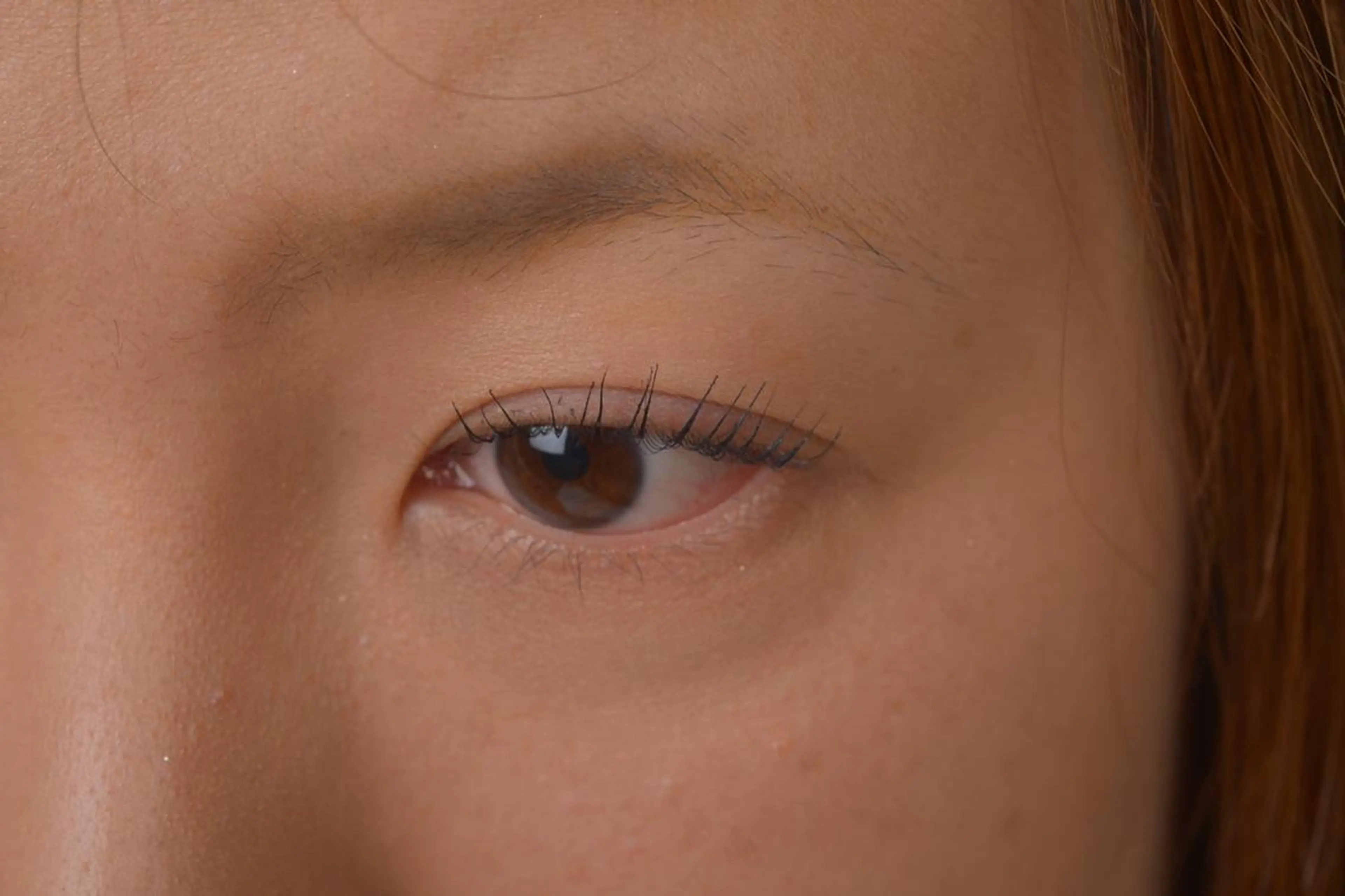 マツエク・マツパ ナチュラル まつげパーマ専門店 シャルナ　新宿店のマツエク・マツパデザイン