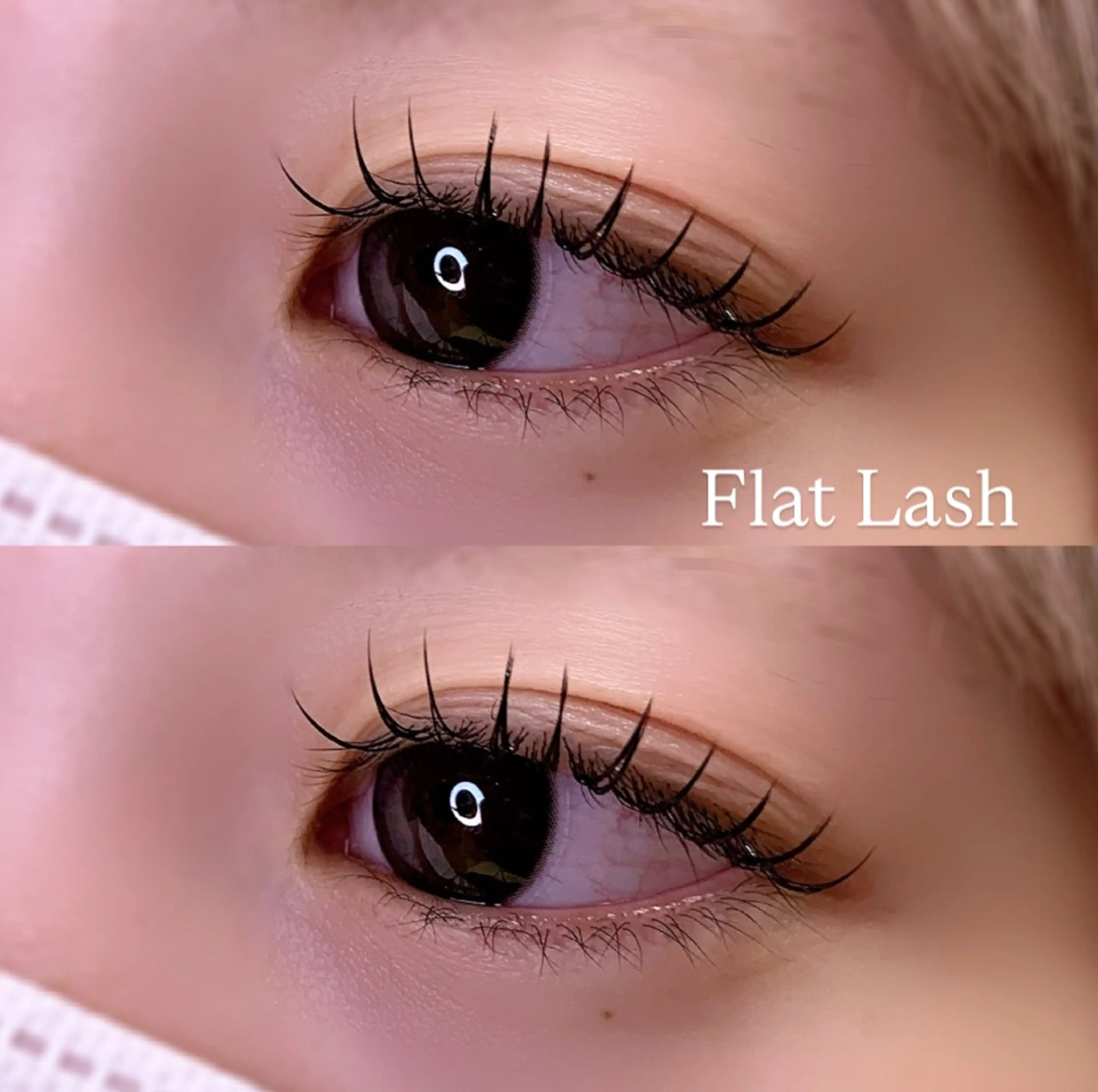 マツエク・マツパ Cカール フラットラッシュ マツエク Ayumi.pro 🍆N《4階》のマツエク・マツパデザイン