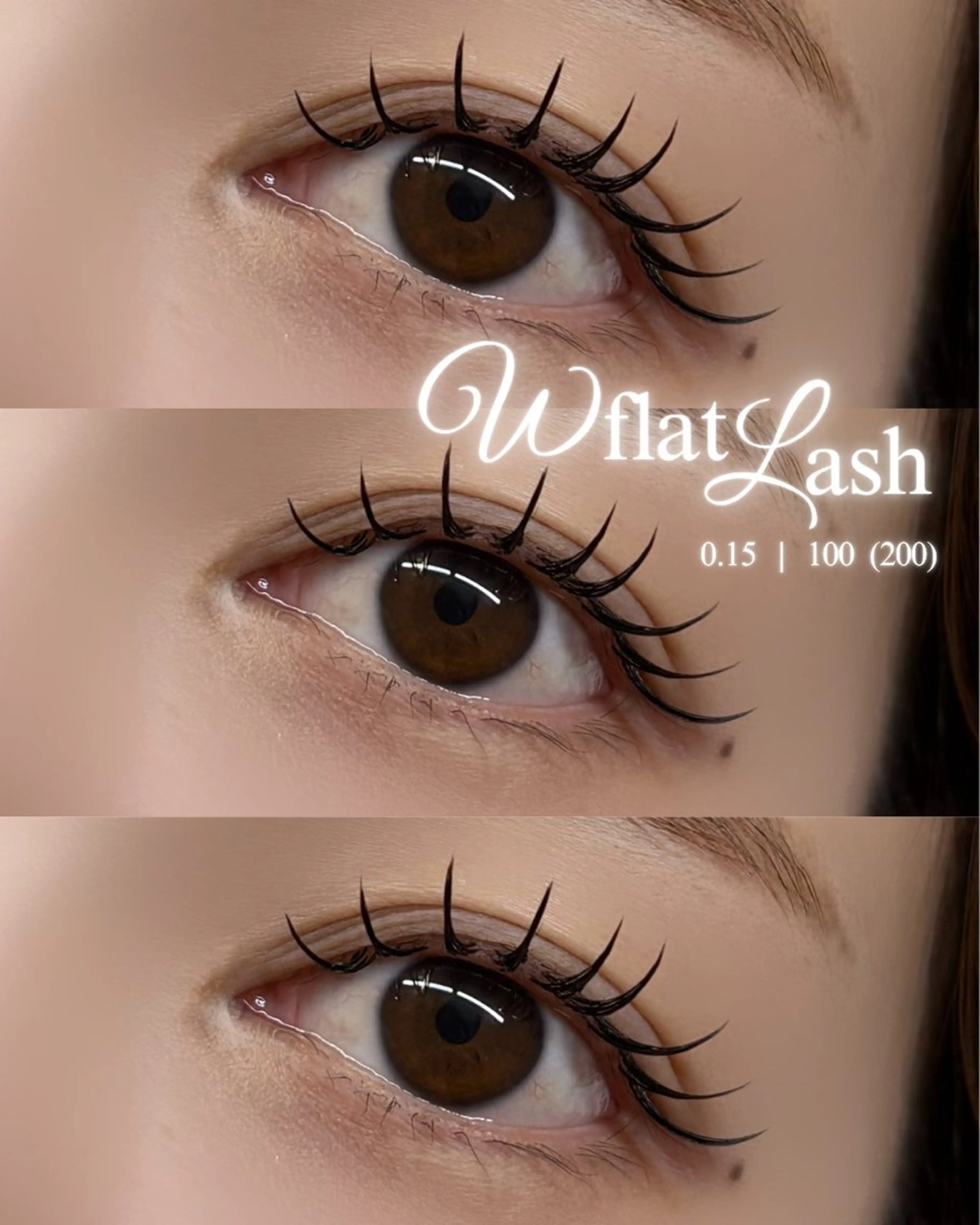 【🪽ダブルフラットラッシュ🪽】 持続性UP✨【新規オフ無料🫧】 50束(100本)の写真