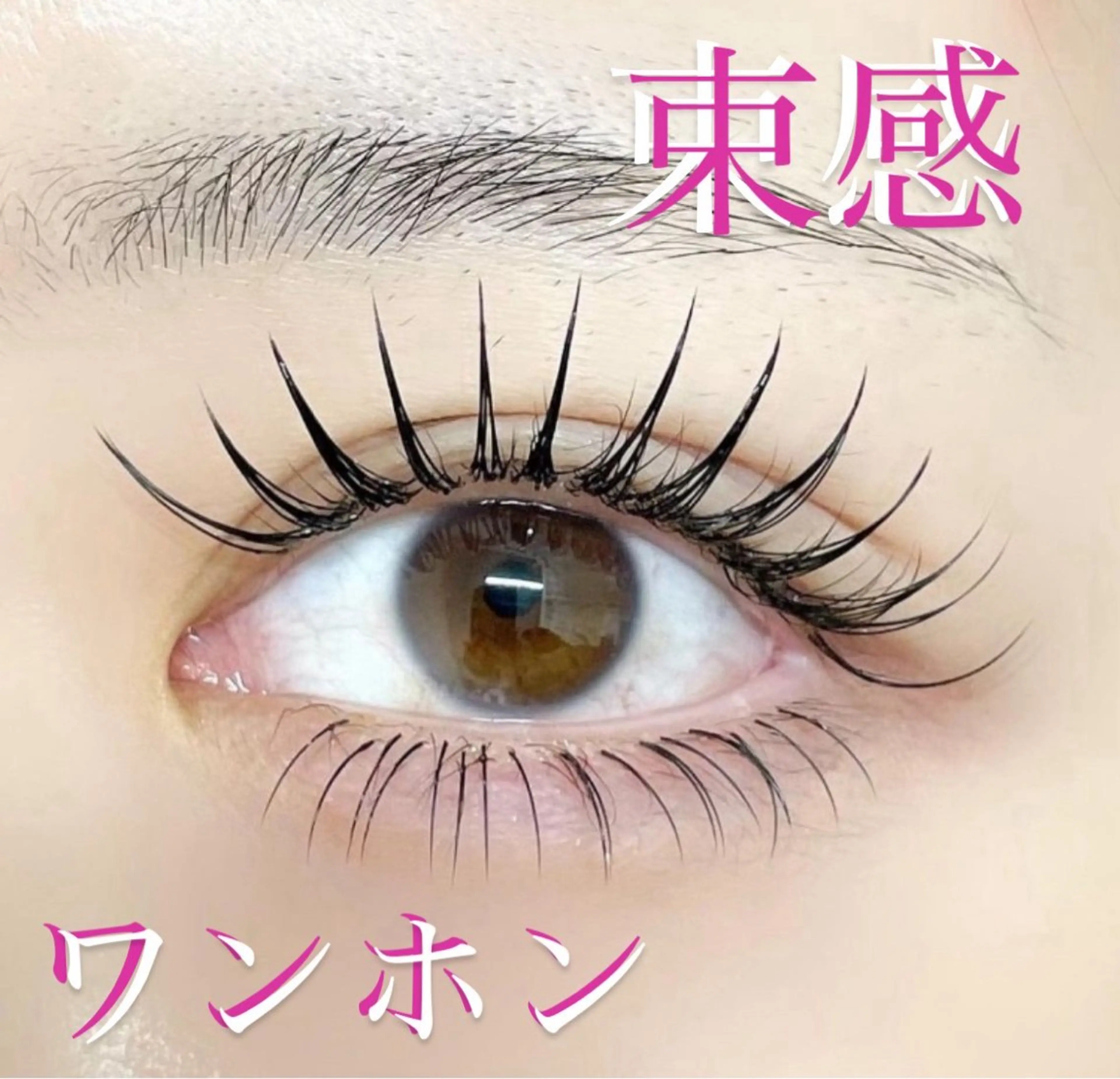 オフなし🤍フラットラッシュ120本の写真