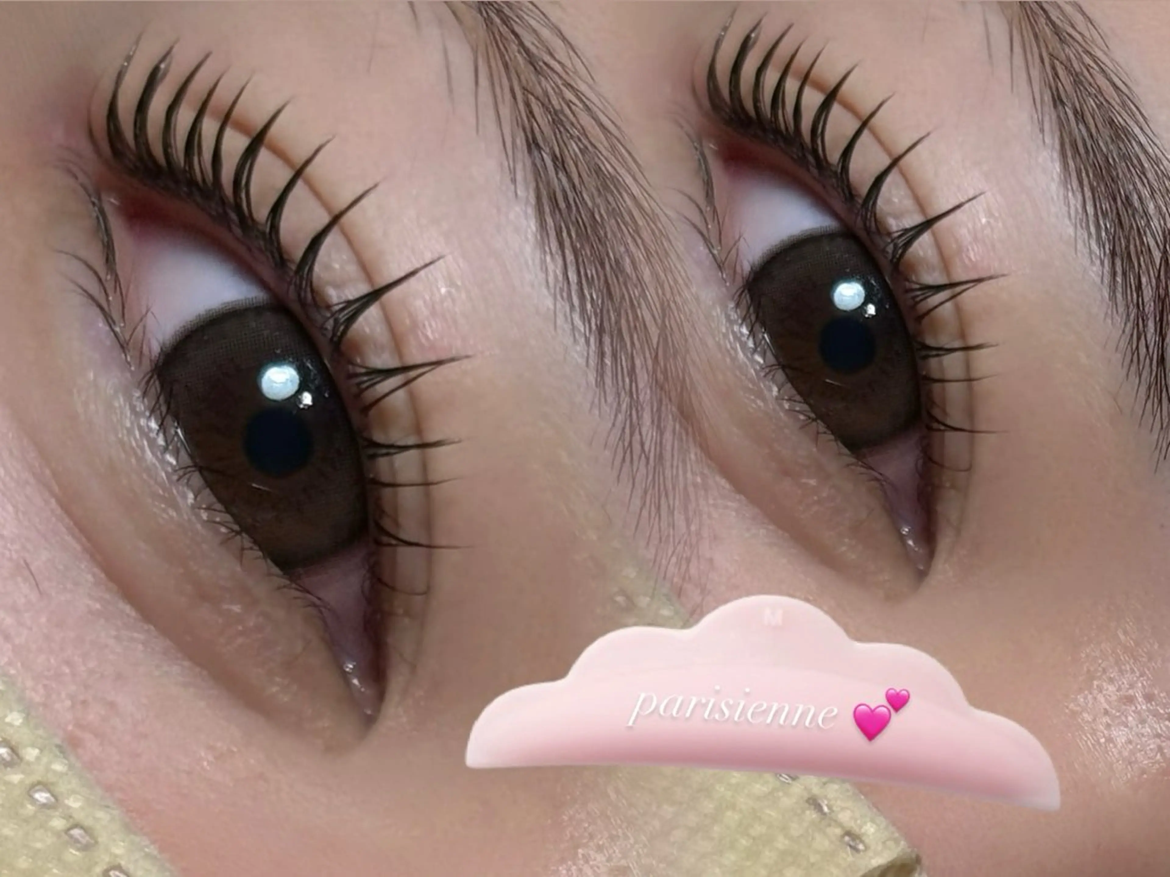 🎀パリジェンヌ（コーティング付き）🎀の写真