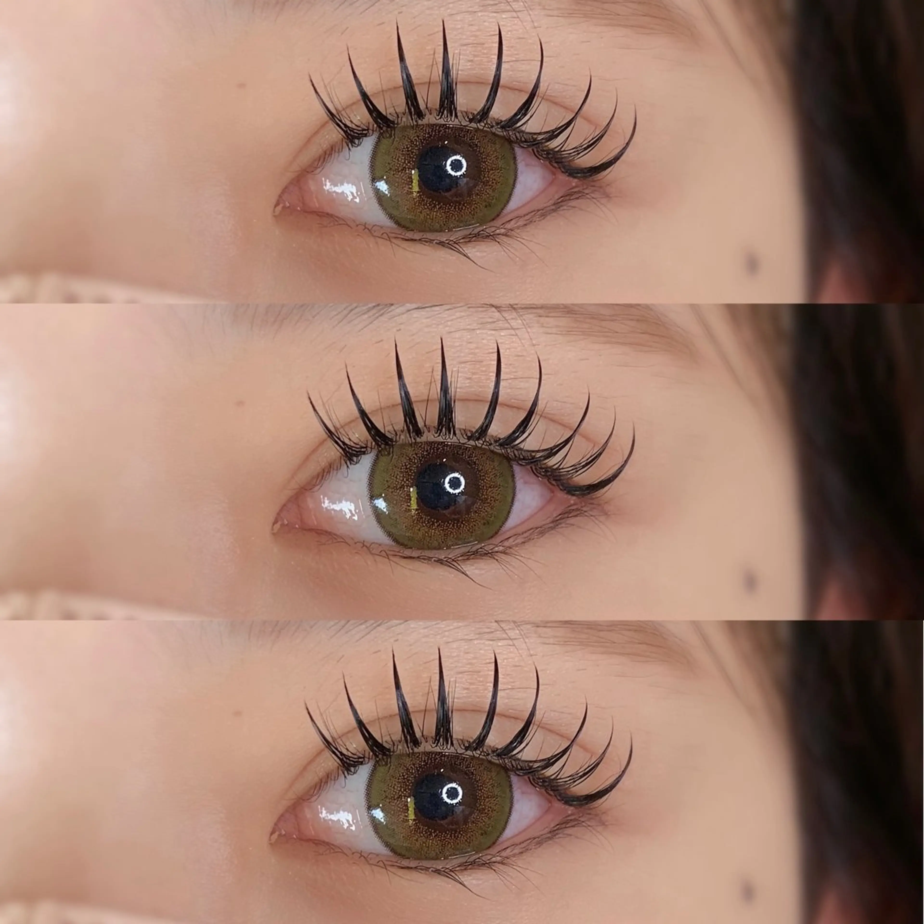 ☀️リフエク(まつ毛パーマ＋エクステ)140本まで☀️の写真