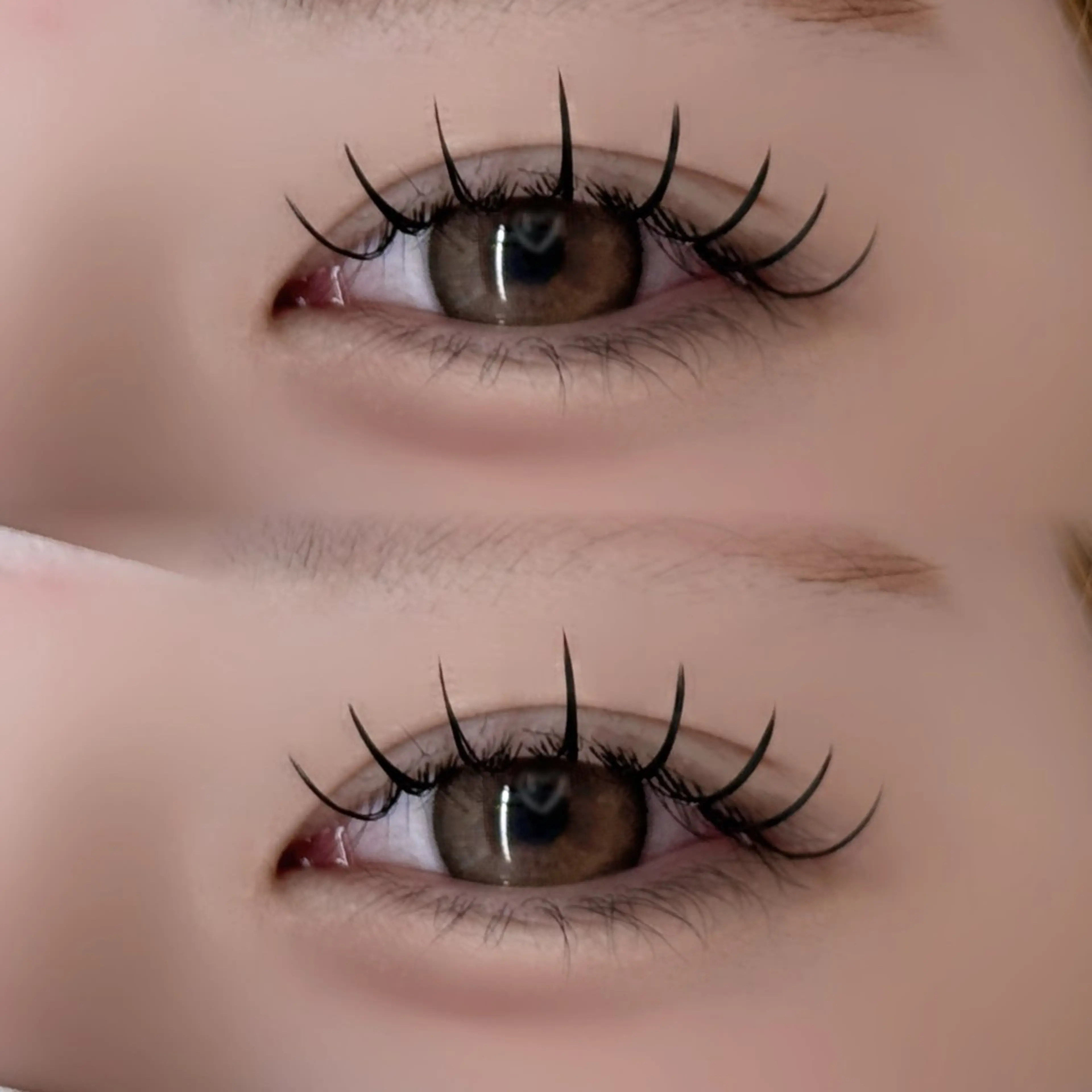 マツエク・マツパ tomteトムテ junmiのマツエク・マツパデザイン