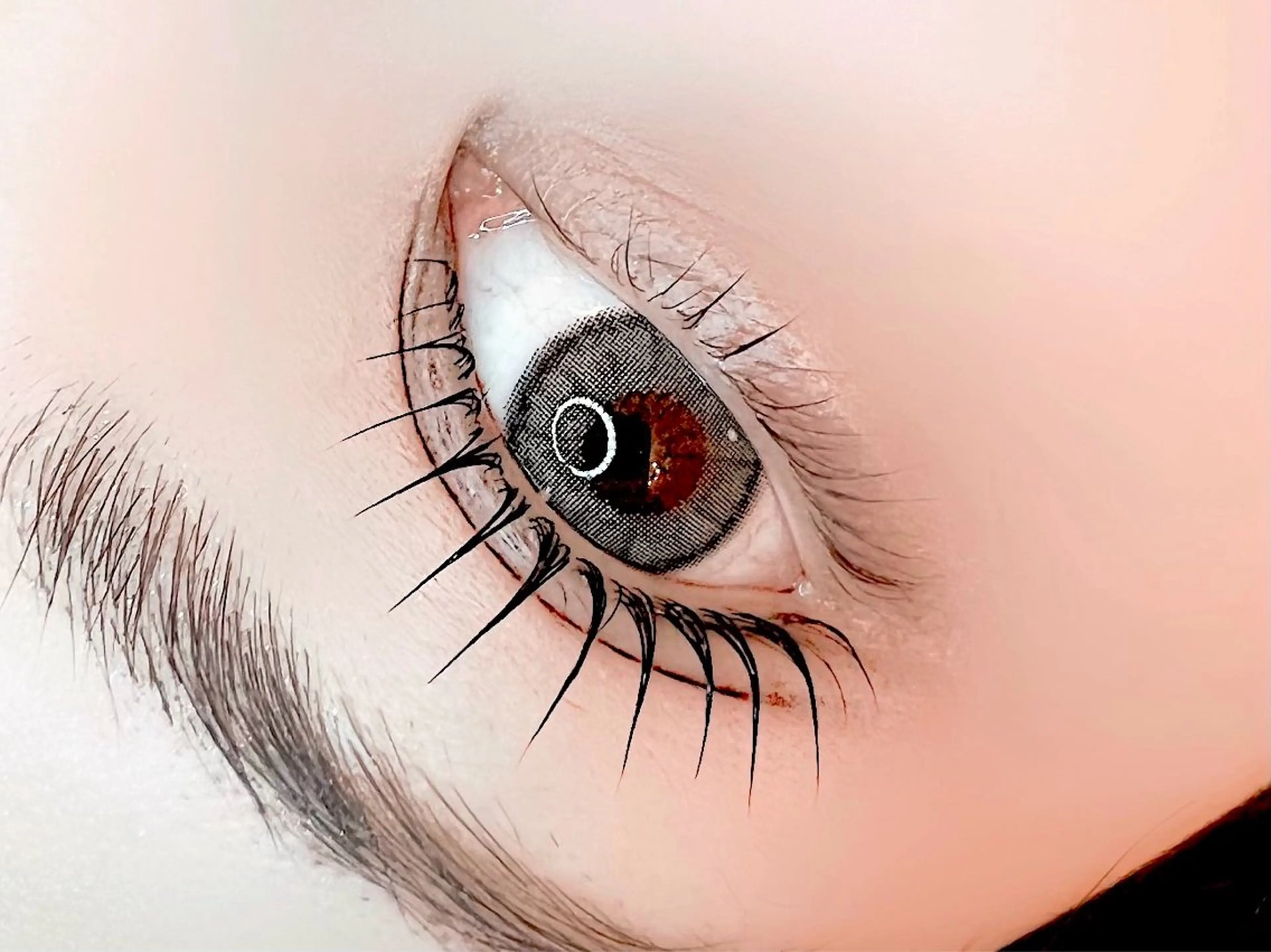 【9日限定‼️】✨コーティング付✨パリジェンヌor次世代まつ毛パーマ🩵の写真