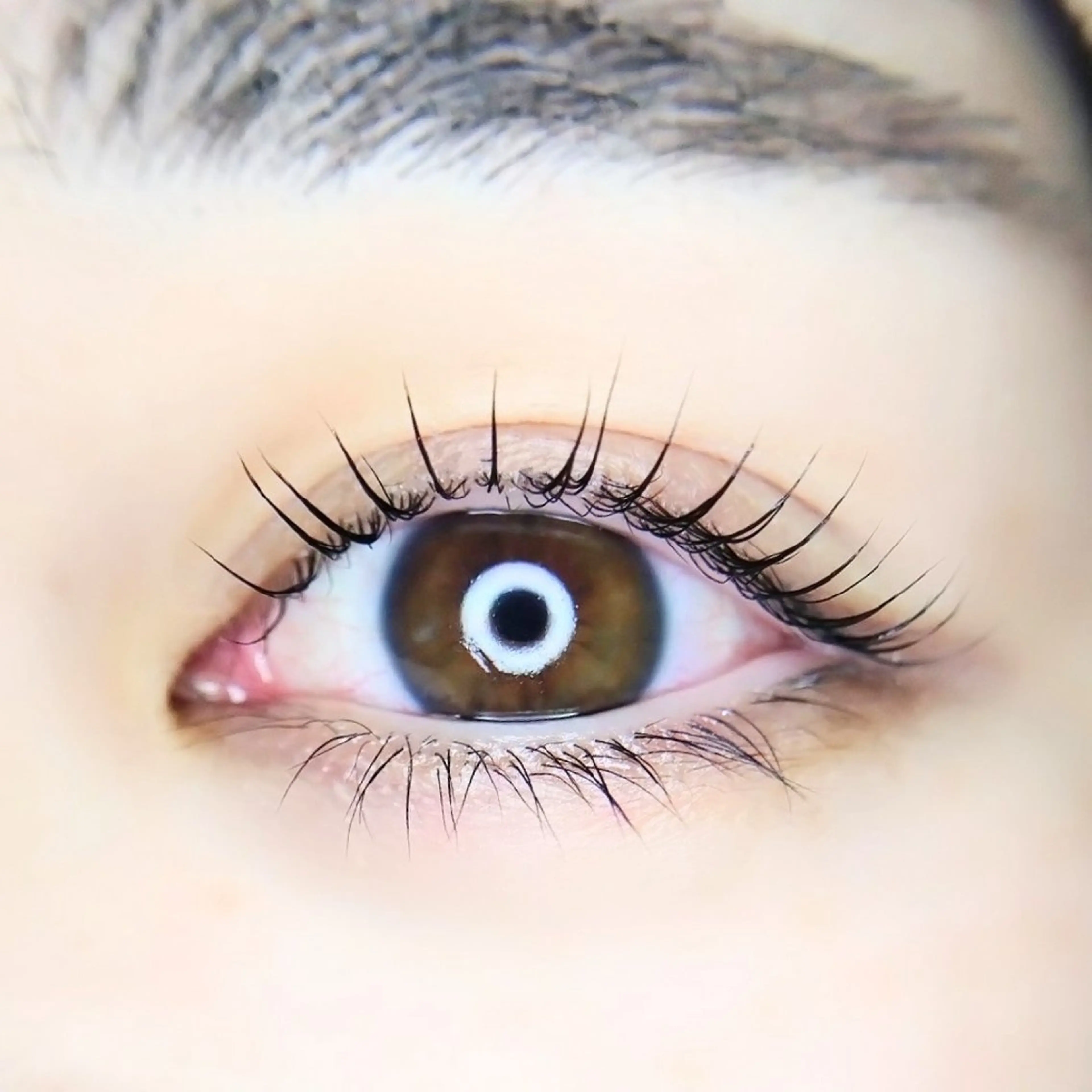 マツエク・マツパ Chelu TOMのマツエク・マツパデザイン