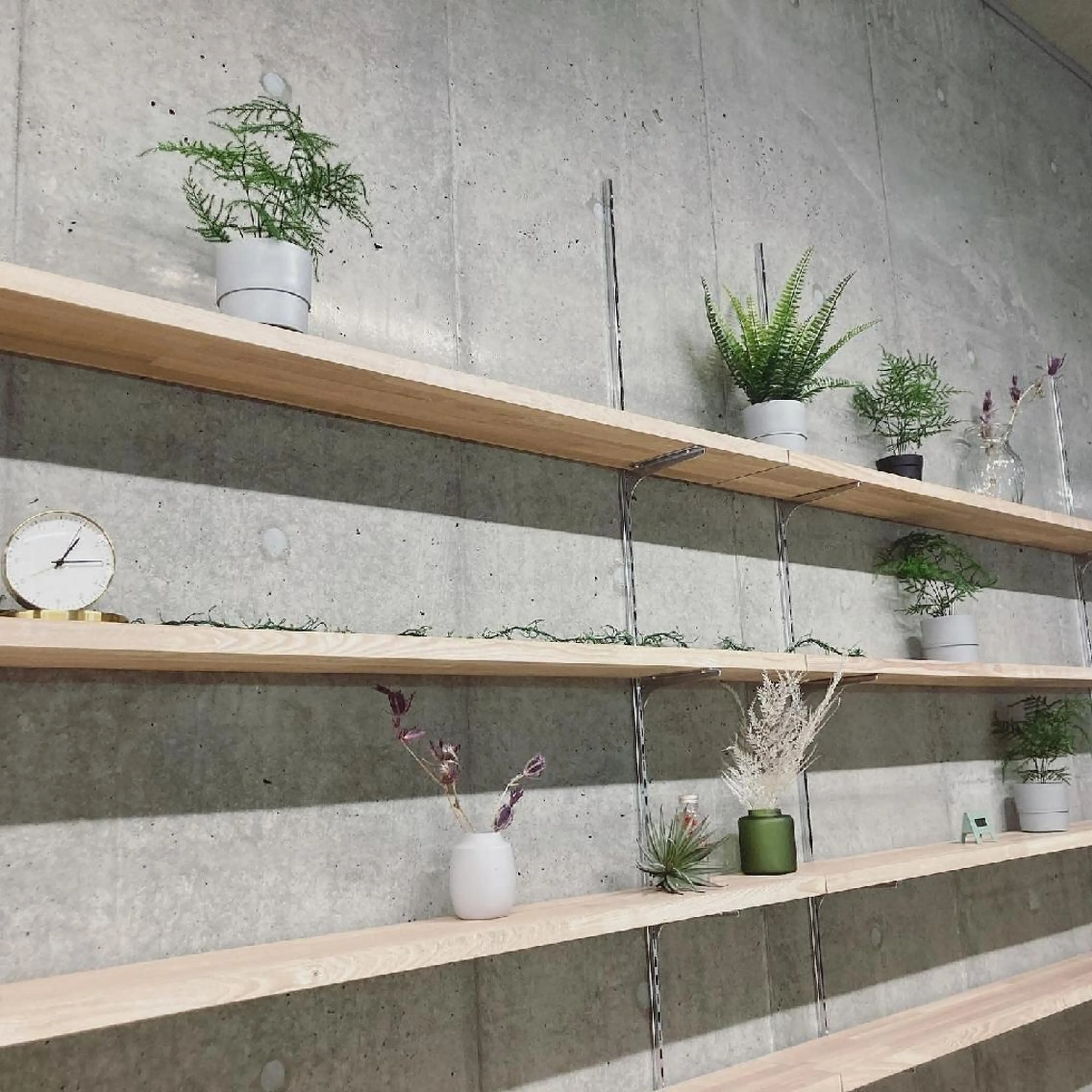 メンズ カラー マツエク・マツパ アイブロウ Roa所属・🪞🫧豊田美優/ まつげパーマ🫧🪞のマツエク・マツパデザイン