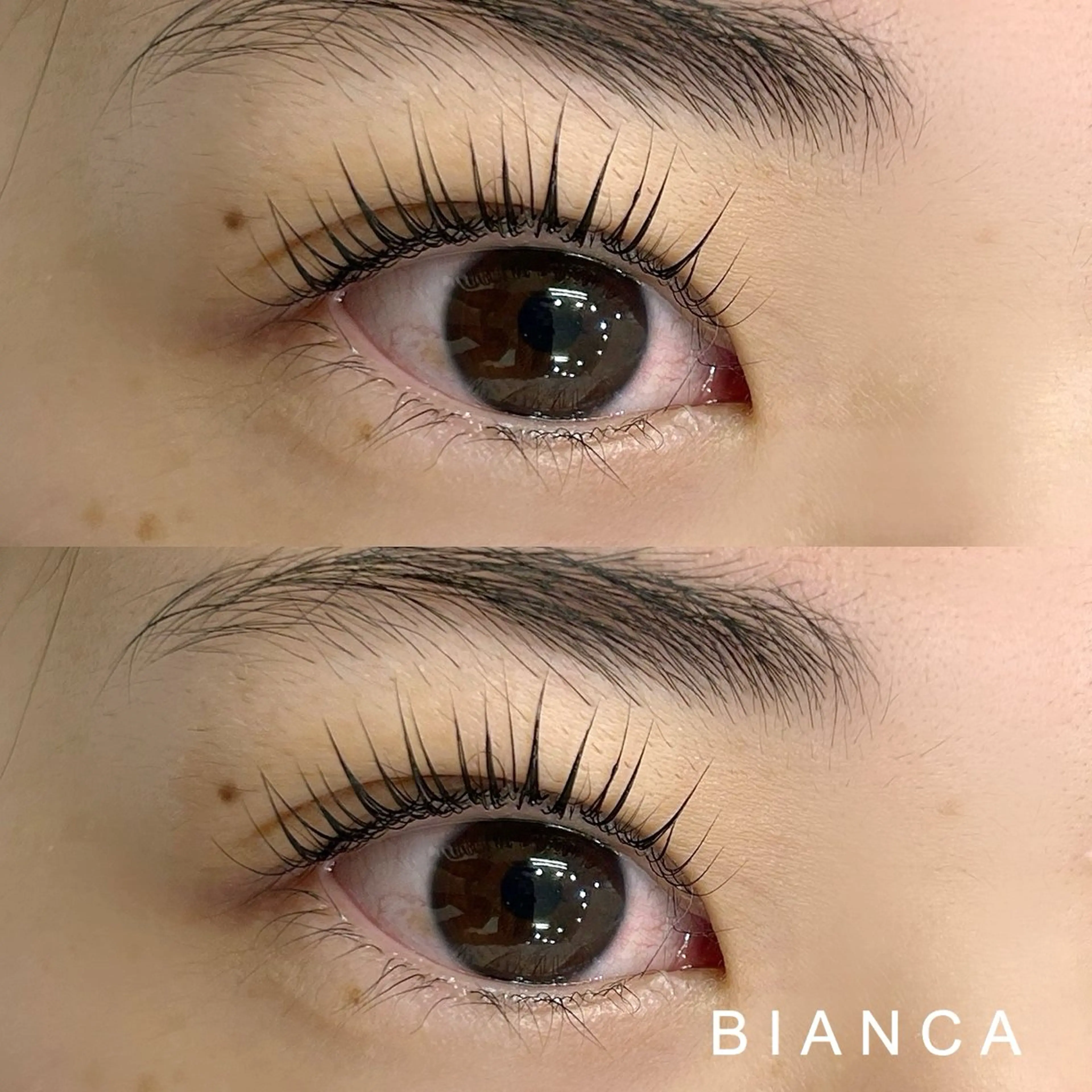 マツエク・マツパ パリジェンヌラッシュリフト マツパ Bianca 🌺SUZUKIのマツエク・マツパデザイン