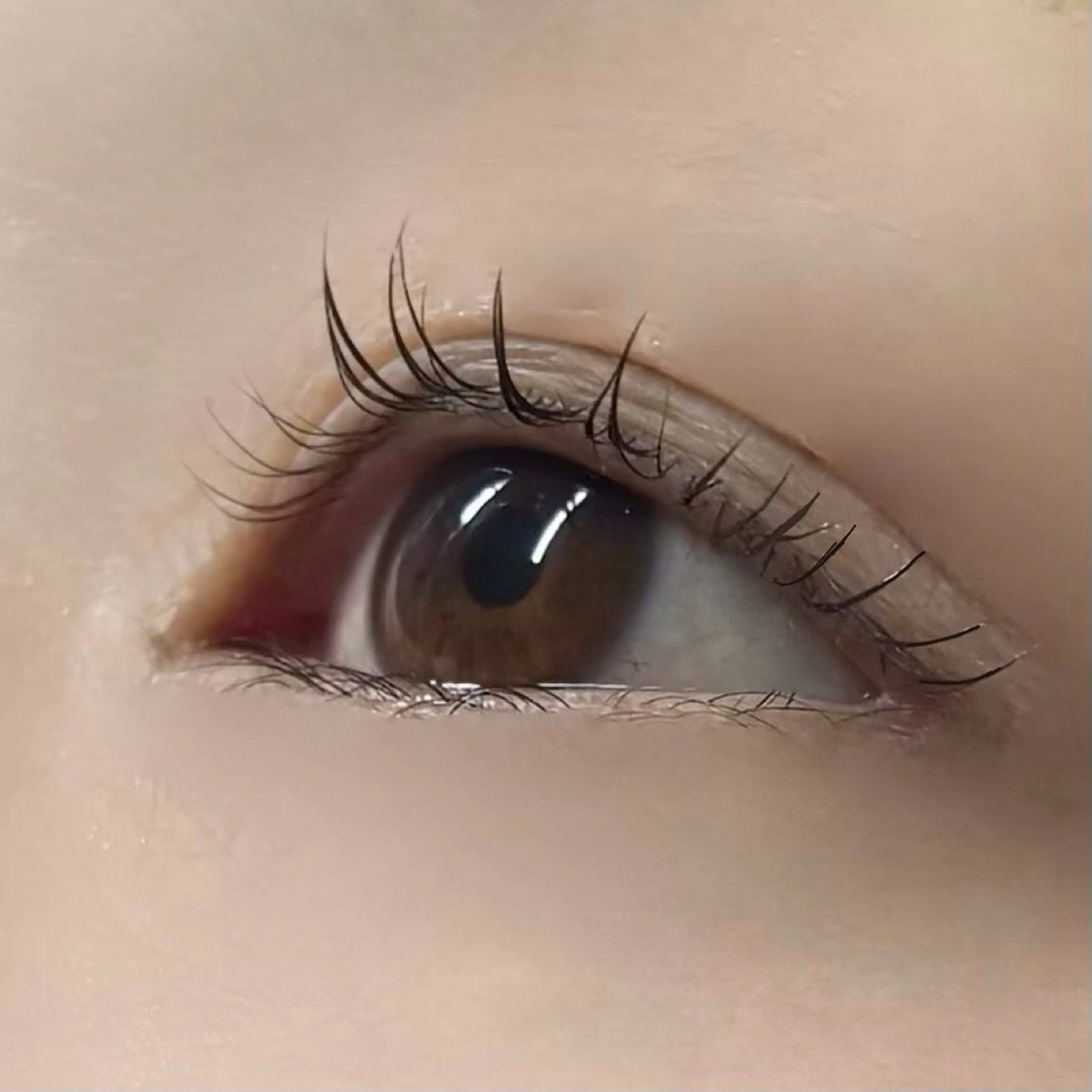 LEDマツエクつけ放題　オフなしの写真