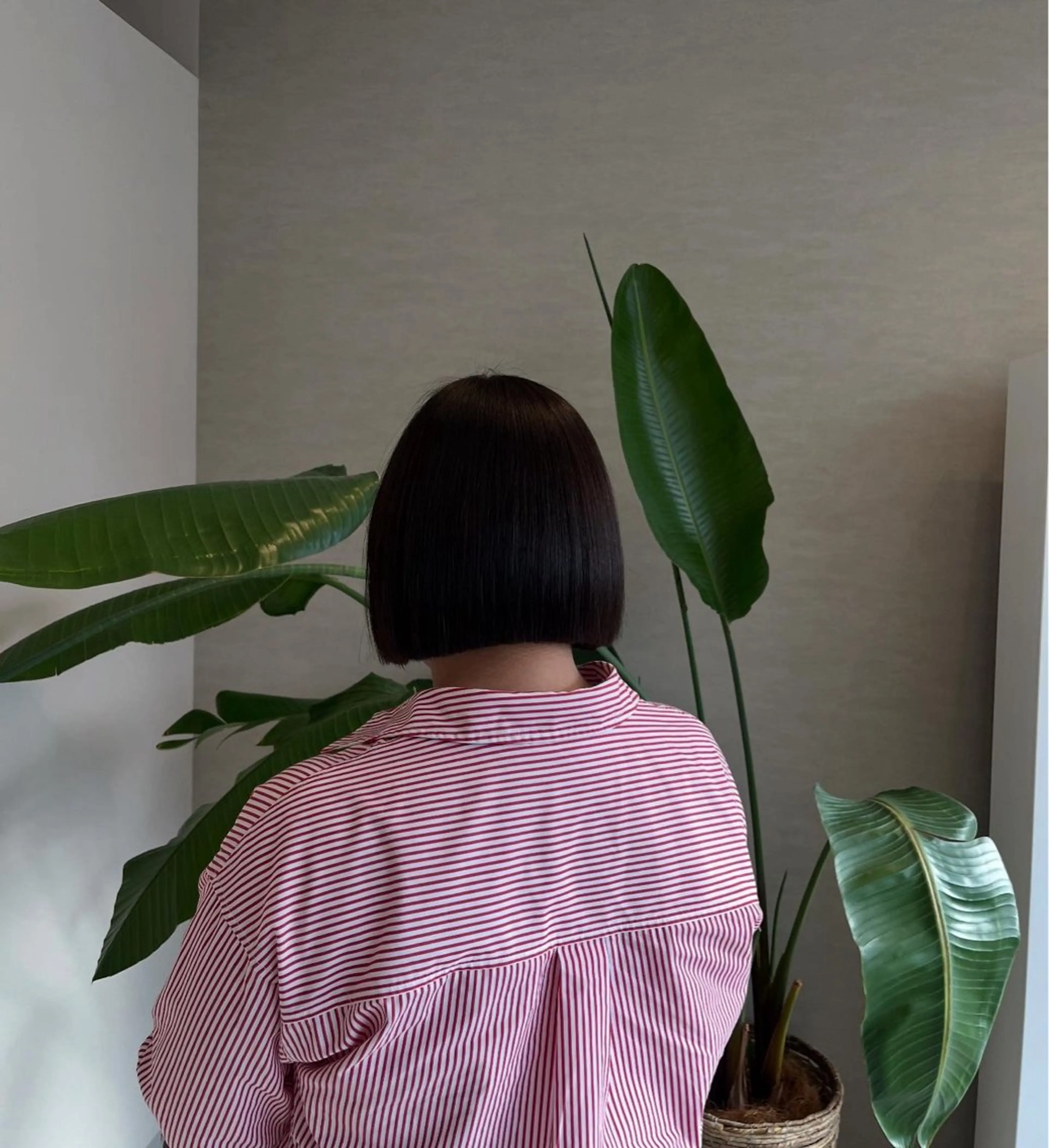ショート カラー ボブ 星野 萌々香のヘアスタイル