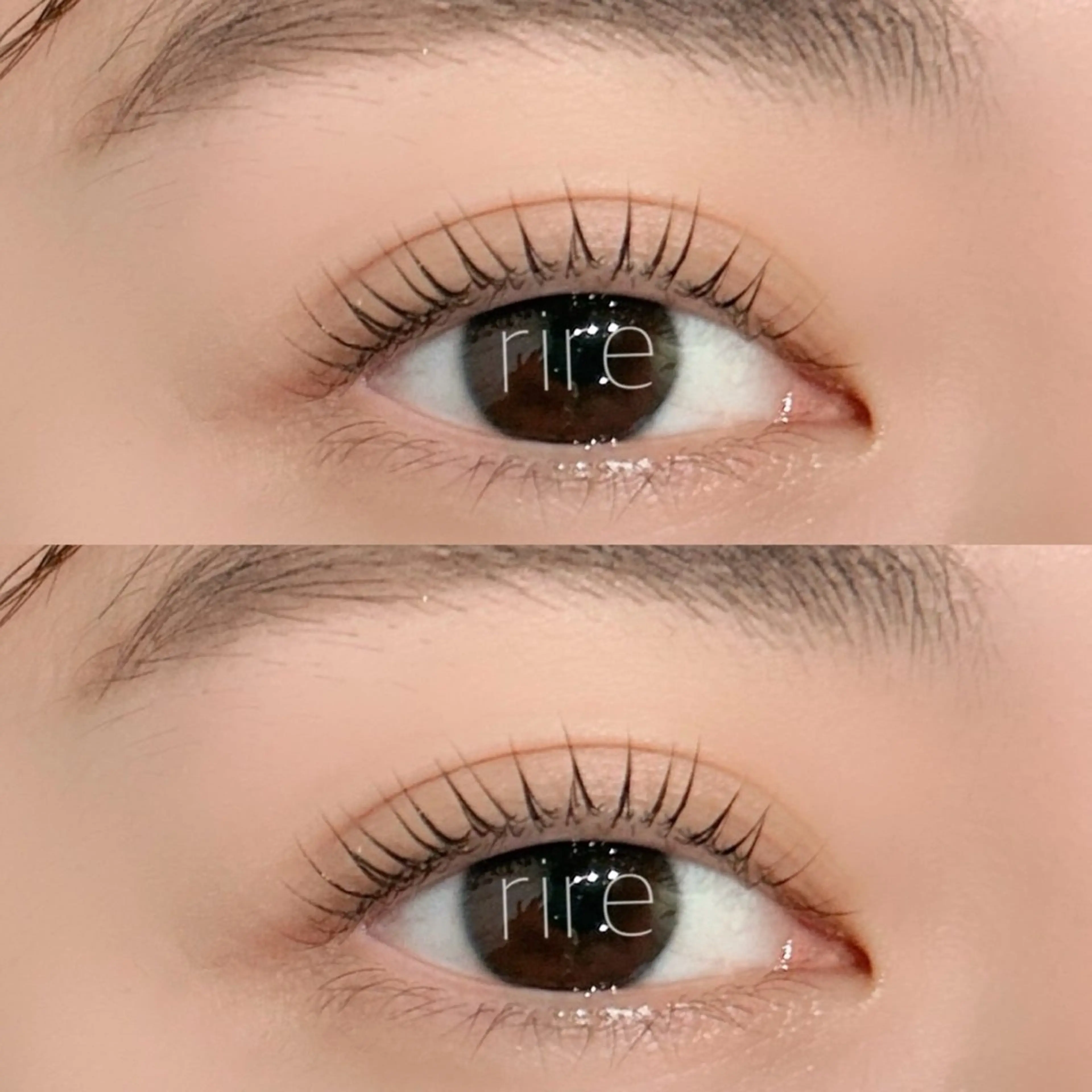 【本日限定】似合わせまつげパーマ／パリジェンヌラッシュリフト✨の写真