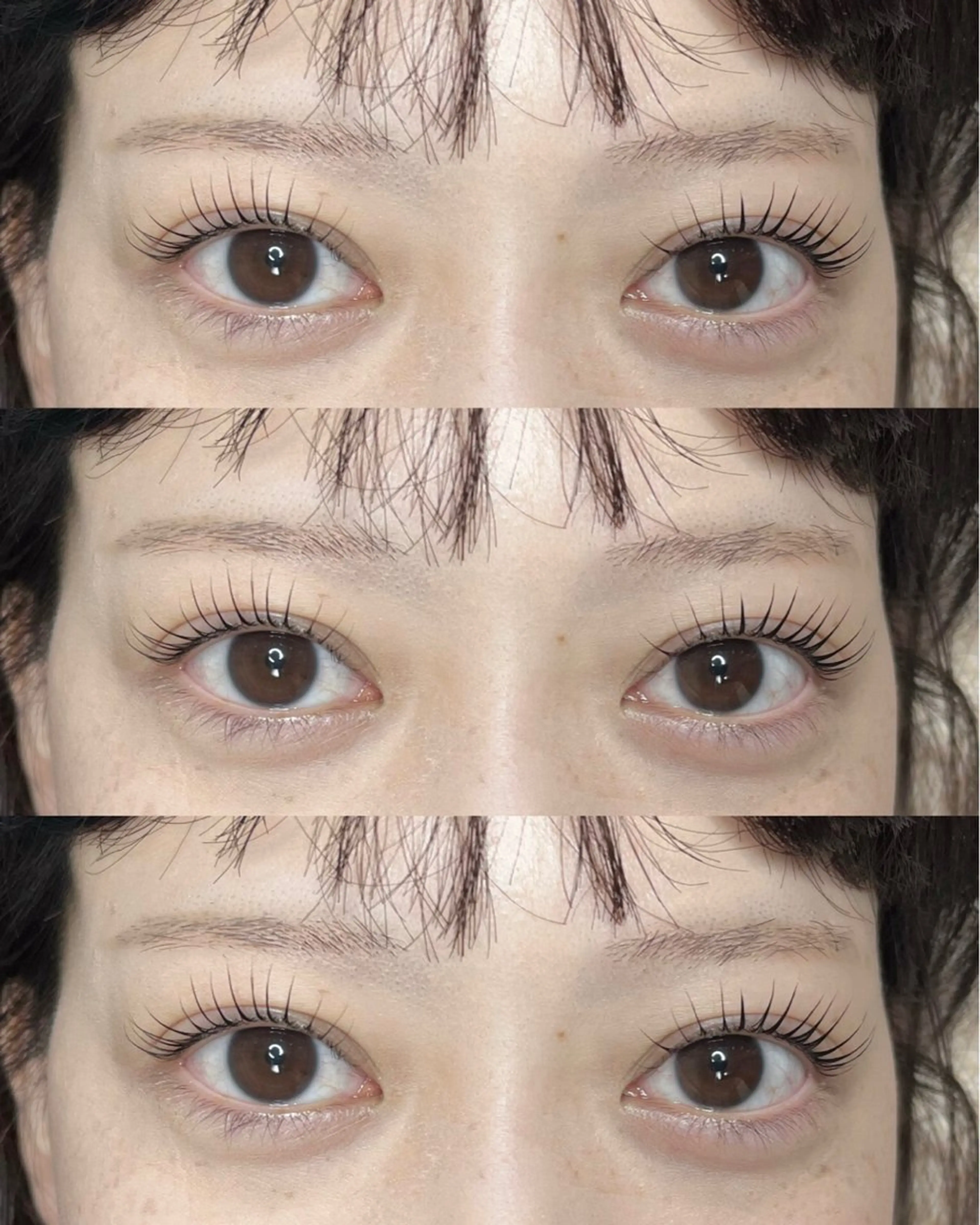 パリエク80〜100本(ロット選べます!)の写真