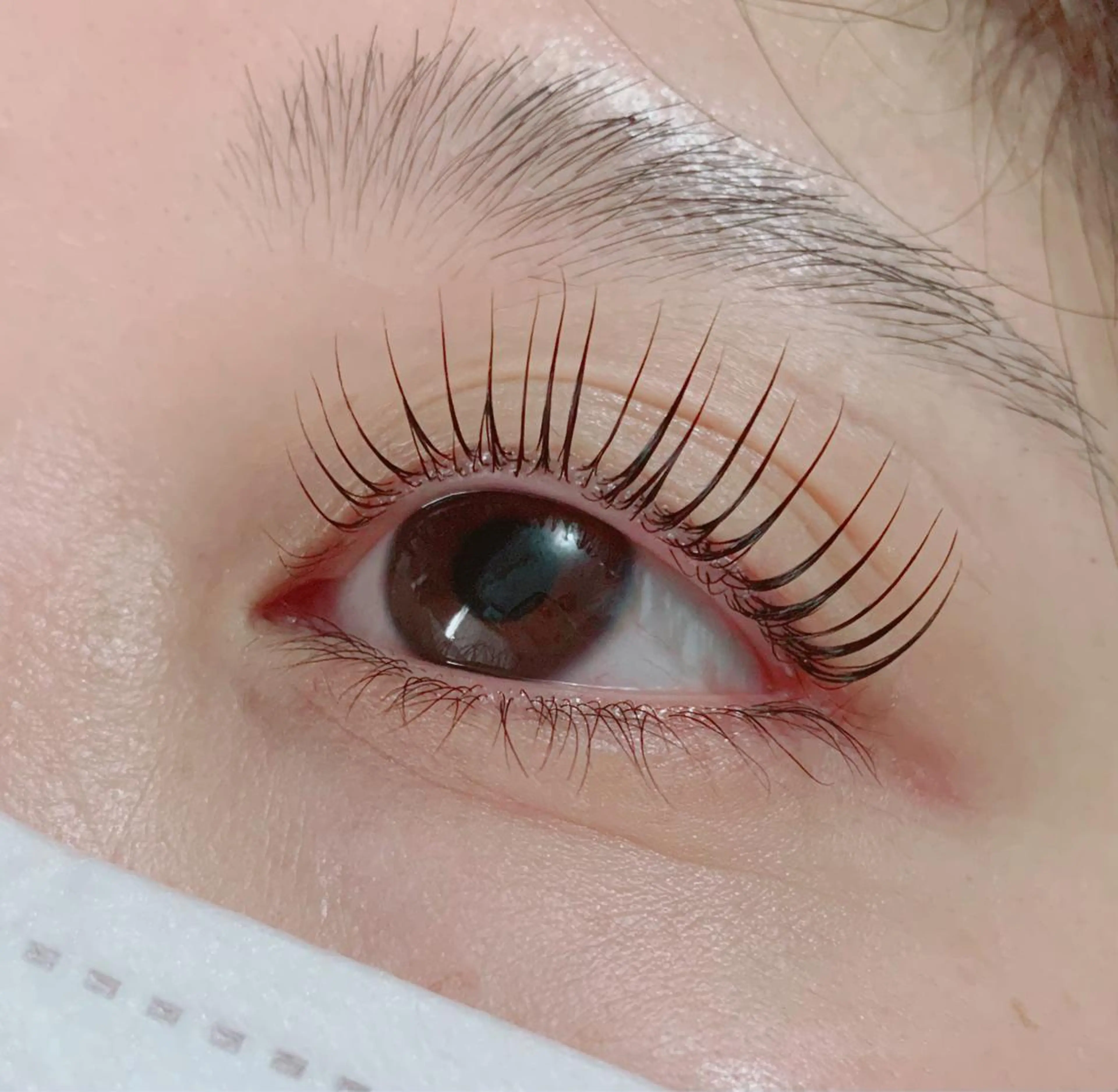 マツエク・マツパ 梅田駅近！半個室 M'sアイブロウの眉毛・アイブロウイメージ