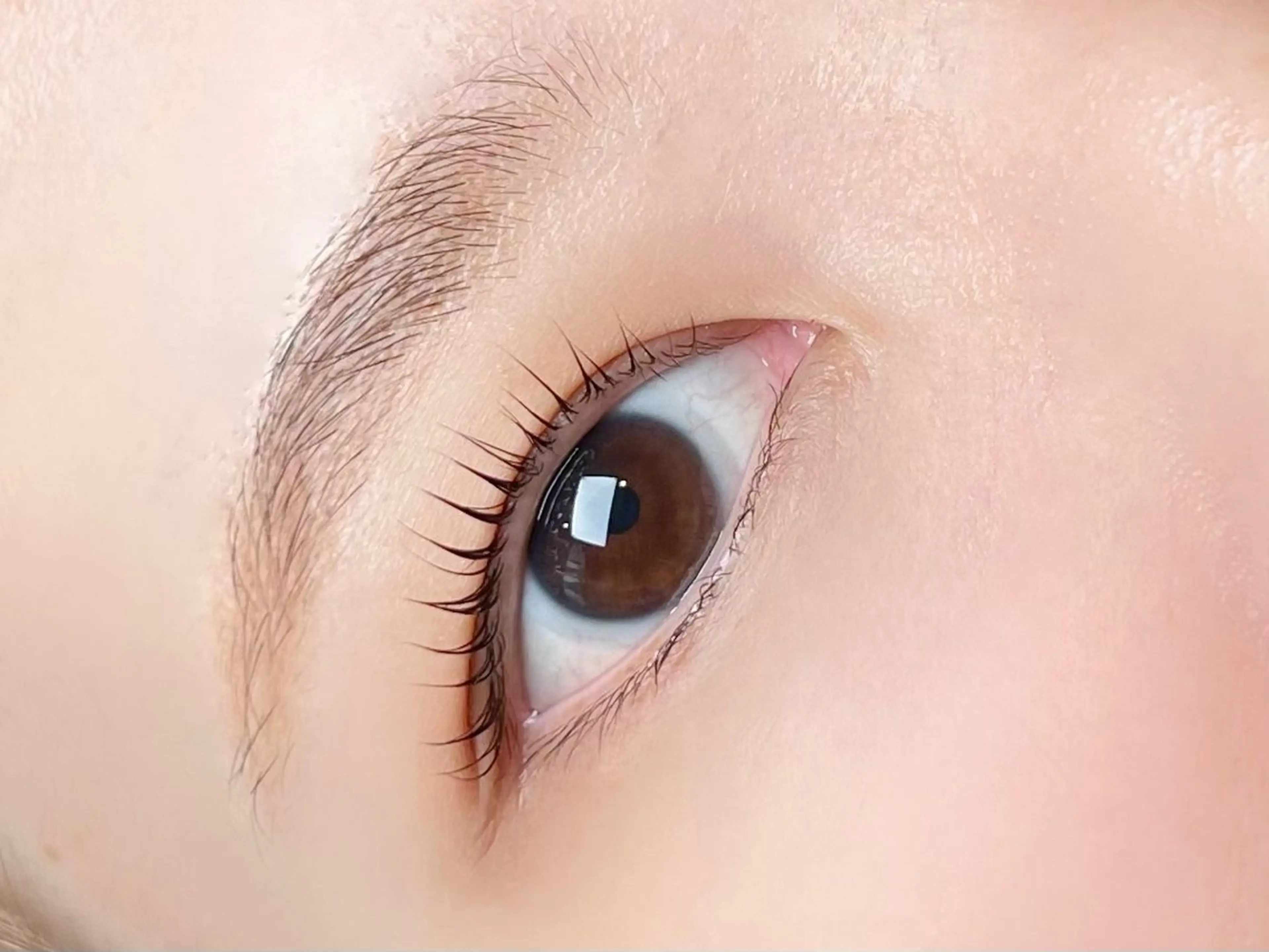 マツエク・マツパ マツパ 束感/ナチュラル/ mikuのマツエク・マツパデザイン