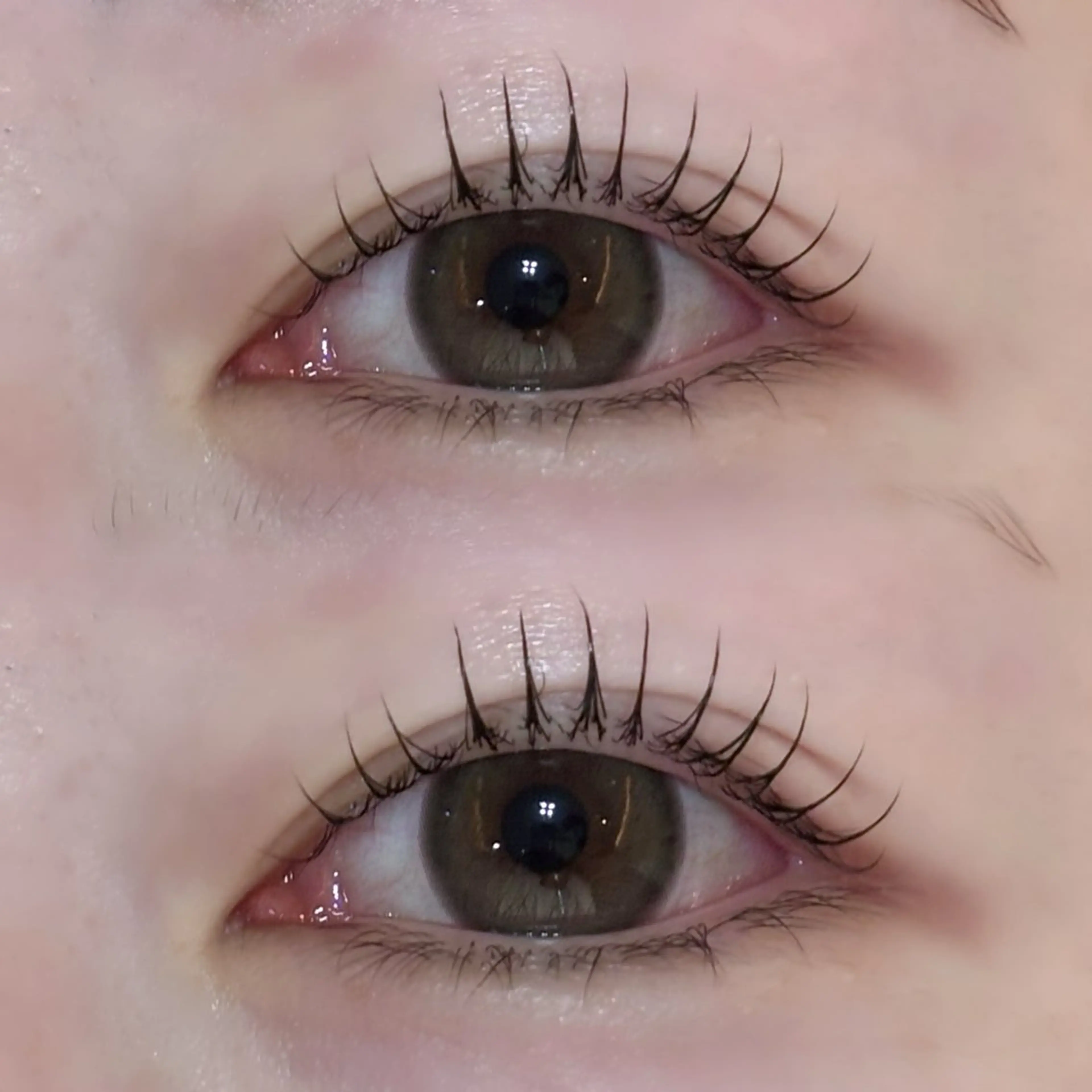 🎀似合わせまつ毛パーマ(デザイン相談)の写真