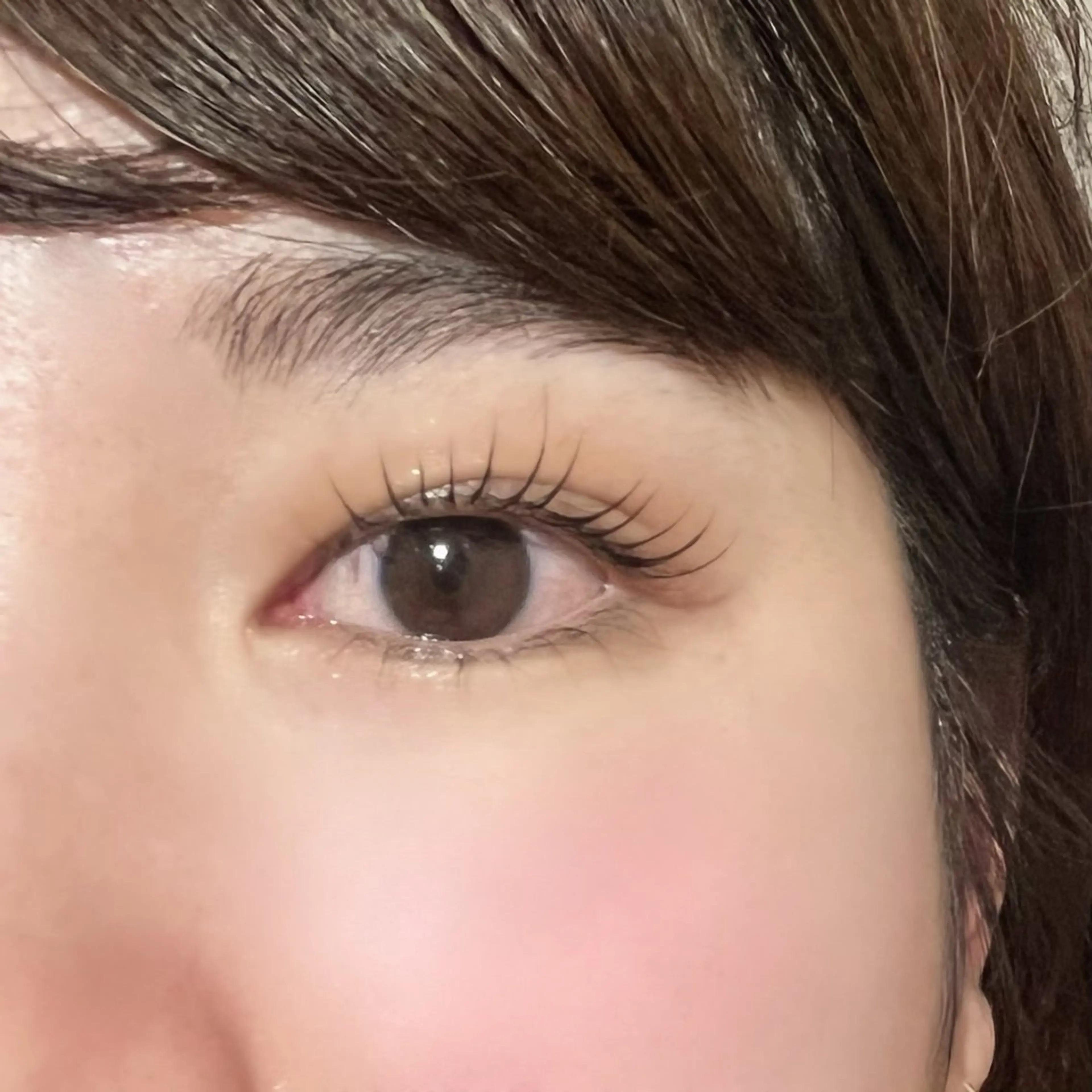 マツエク・マツパ 韓国束感まつげ｜ MANAMI🧸のマツエク・マツパデザイン