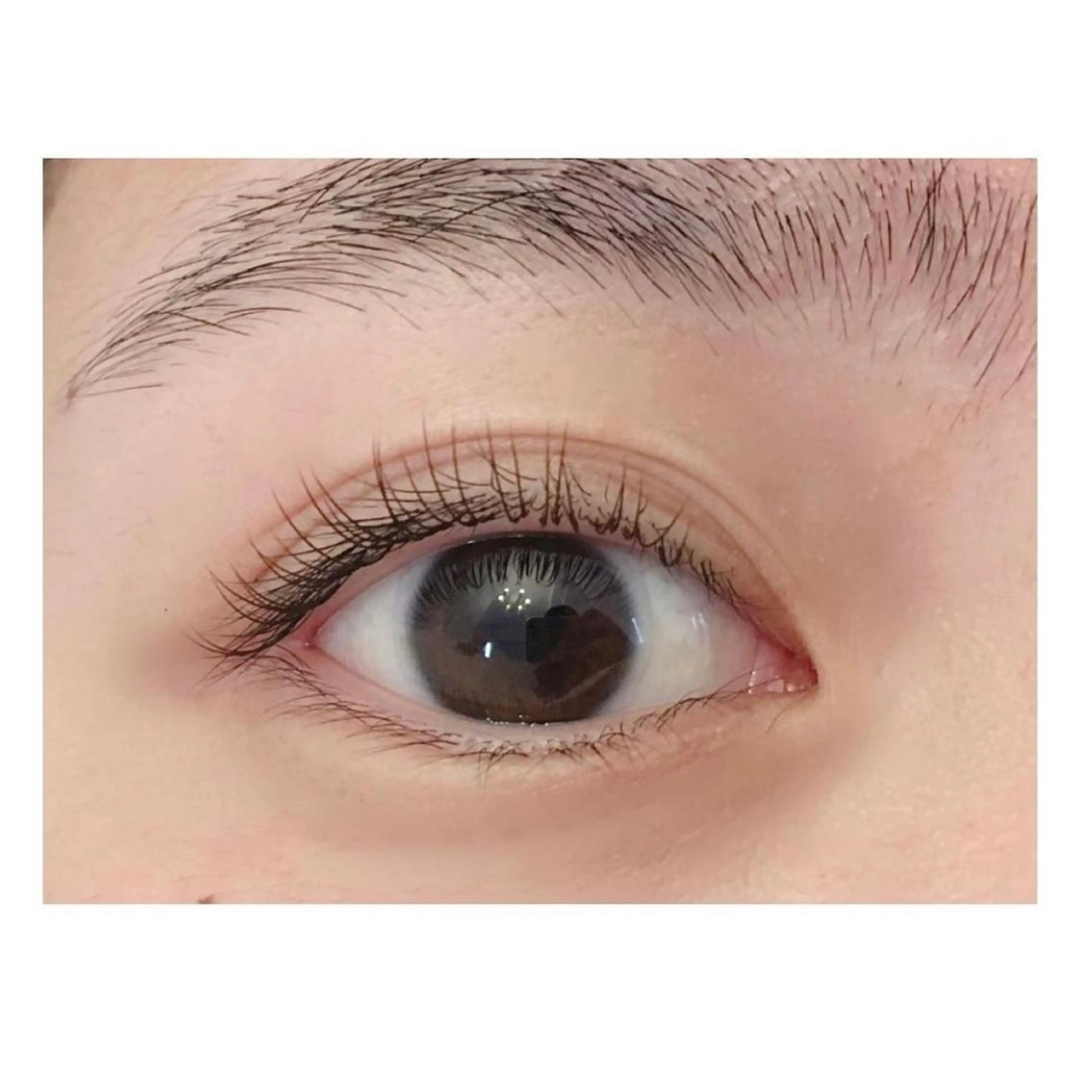 マツエク・マツパ ｍｉｐｐｙ 🪽のマツエク・マツパデザイン