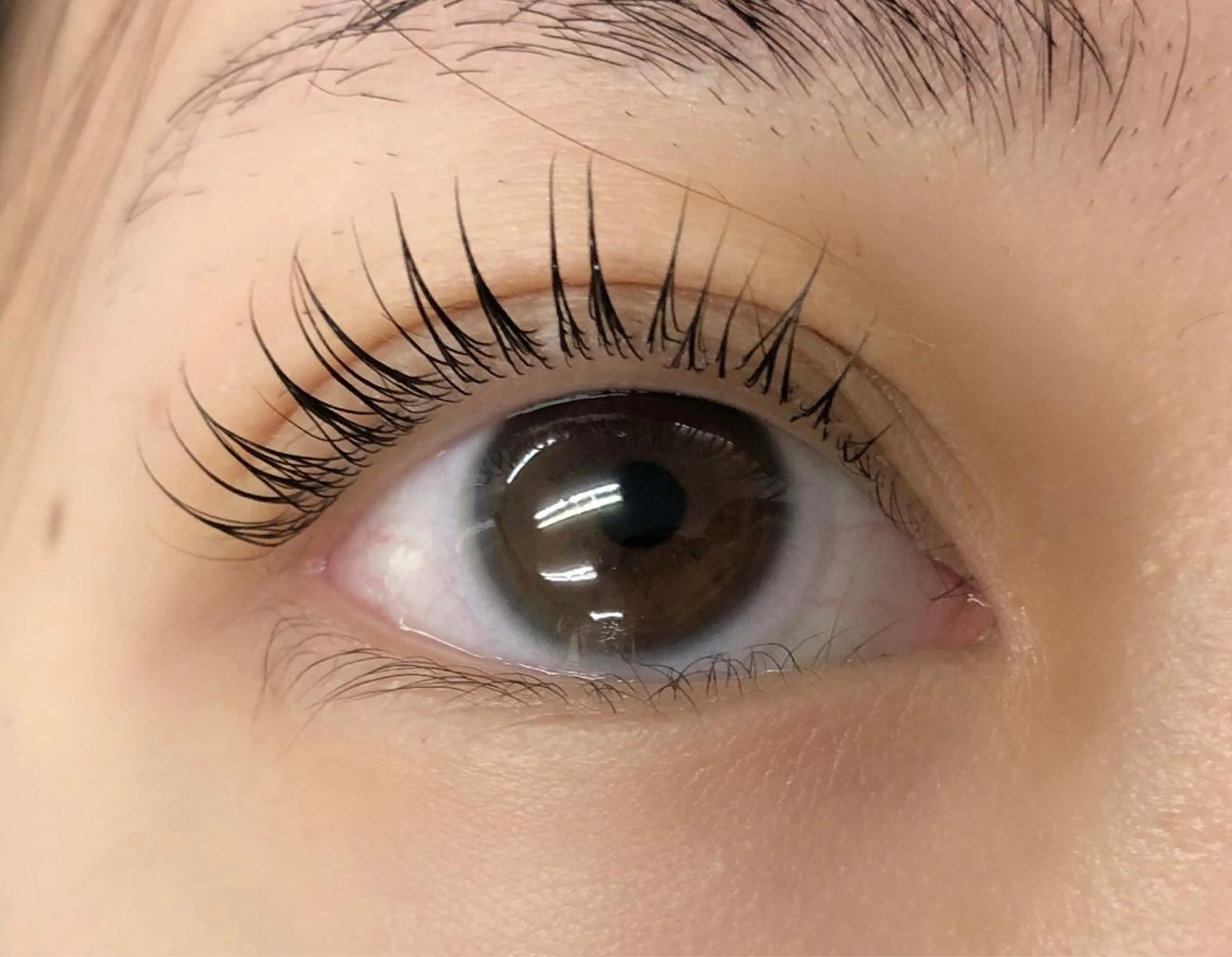 マツエク・マツパ ケラチンラッシュリフト マツパ more 伊東萌香のマツエク・マツパデザイン