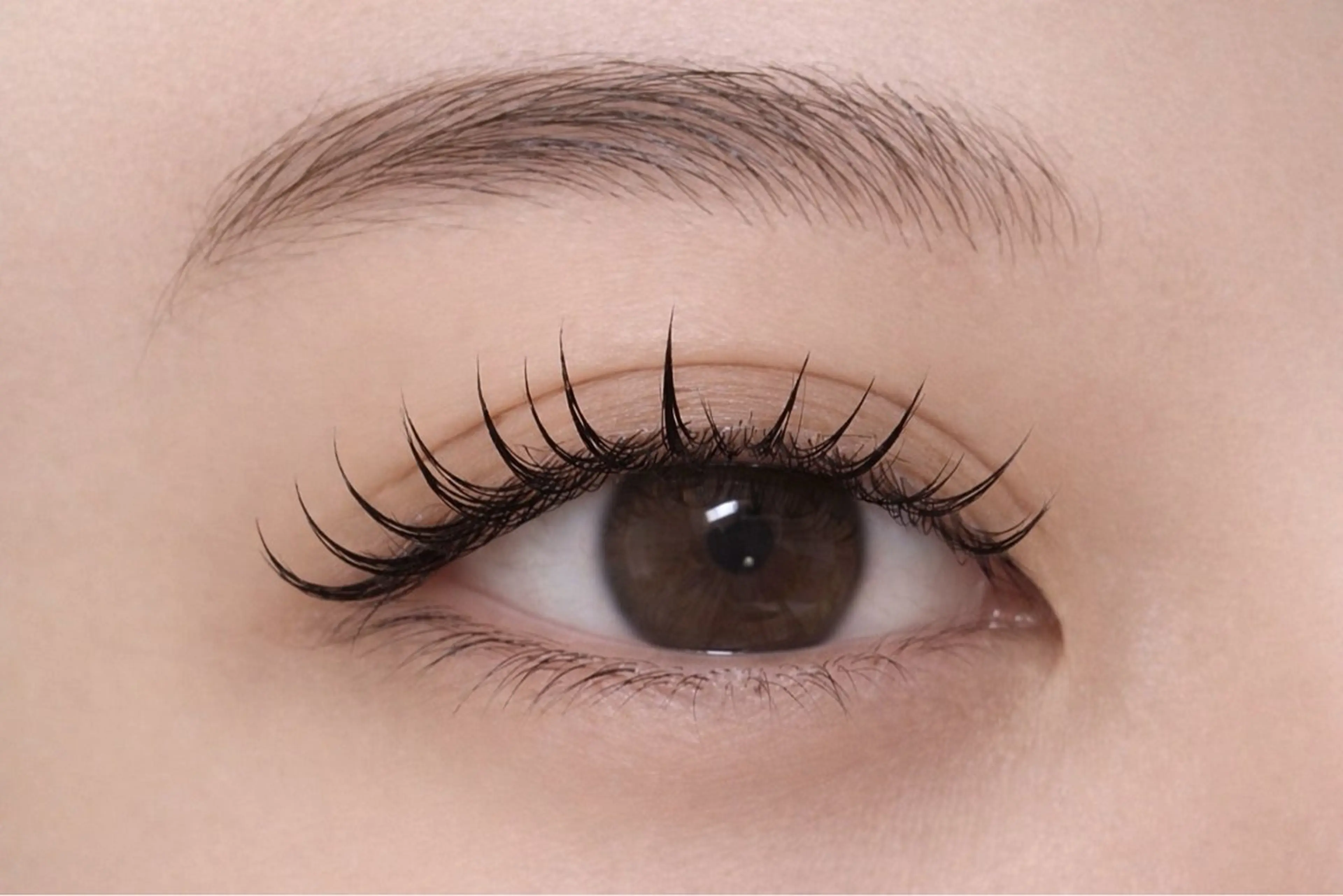 💘まつ毛パーマ💘￥2000の写真